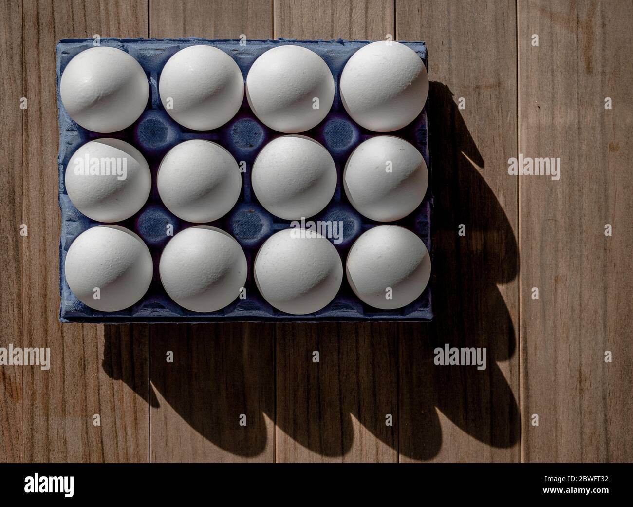 A dozen white eggs in a blue box. Shadows. Stock Photo