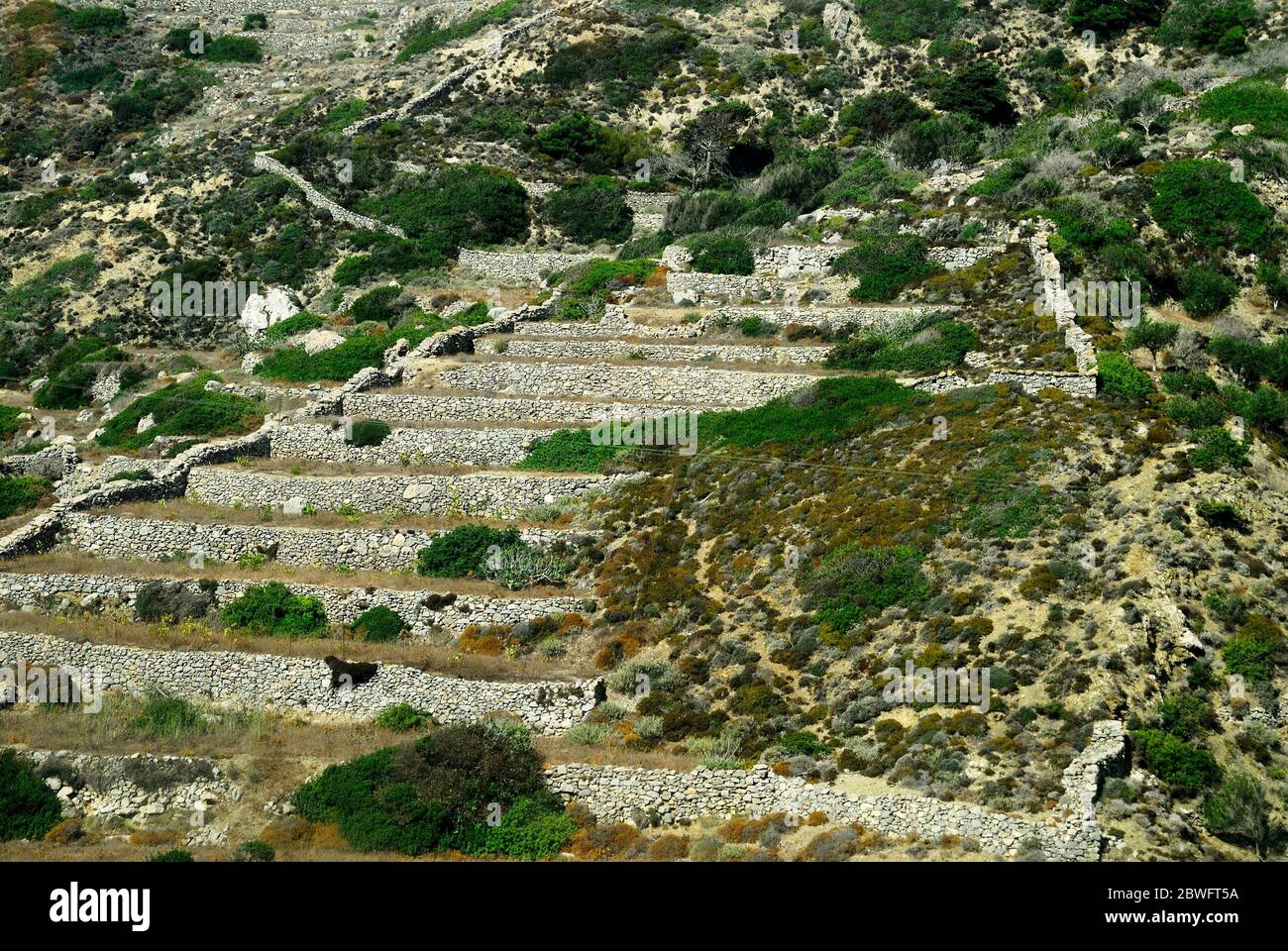 Terraced fields in Karpathos island, Greece. Stock Photo