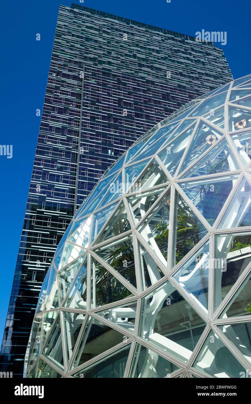 Amazon Spheres conservatory against tall skyscraper, Seattle, Washington, USA Stock Photo