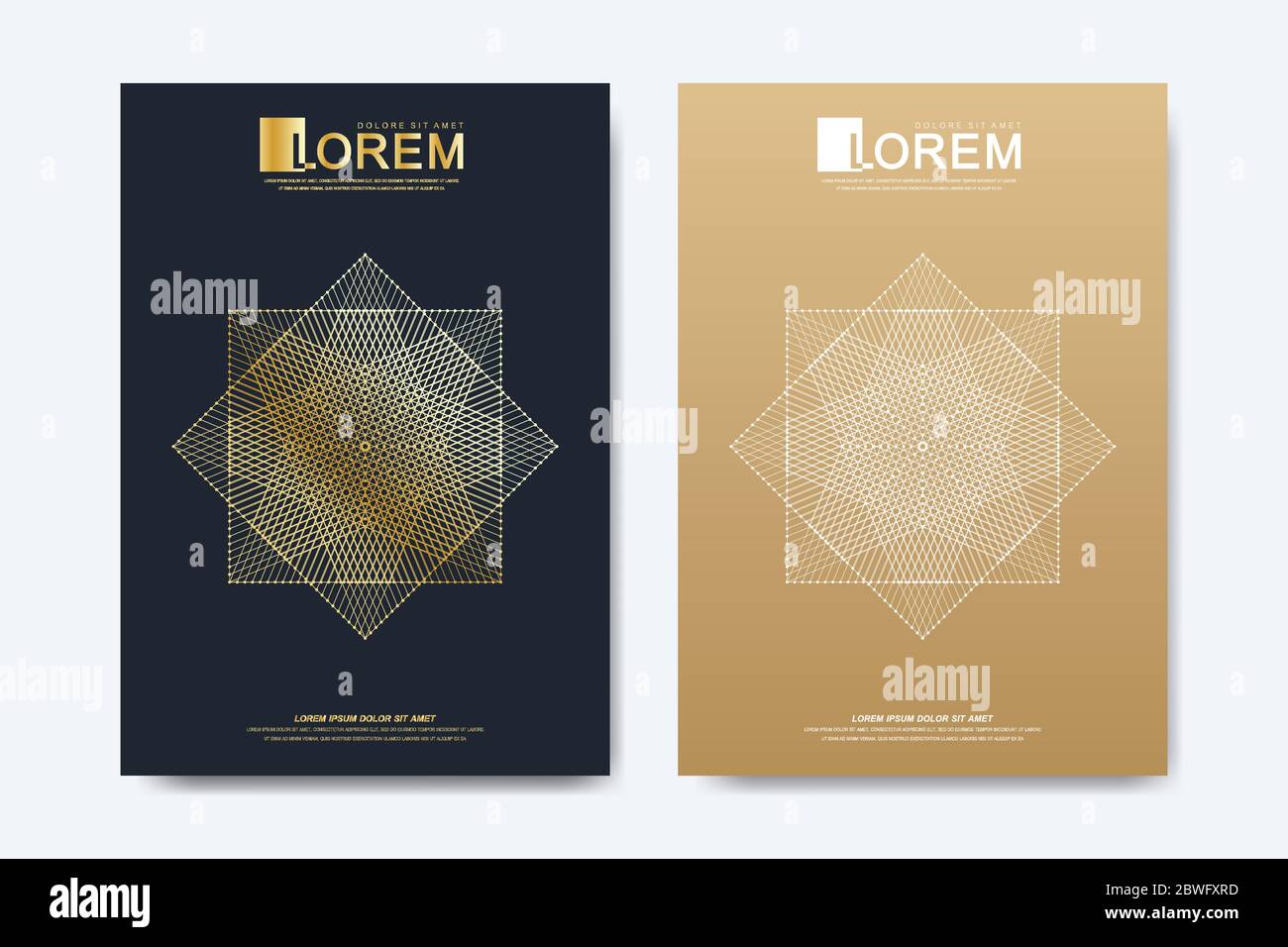 Modern vector template for brochure Leaflet flyer advert cover magazine or annual report. A4 size. Business, science, medical design book layout Stock Vector