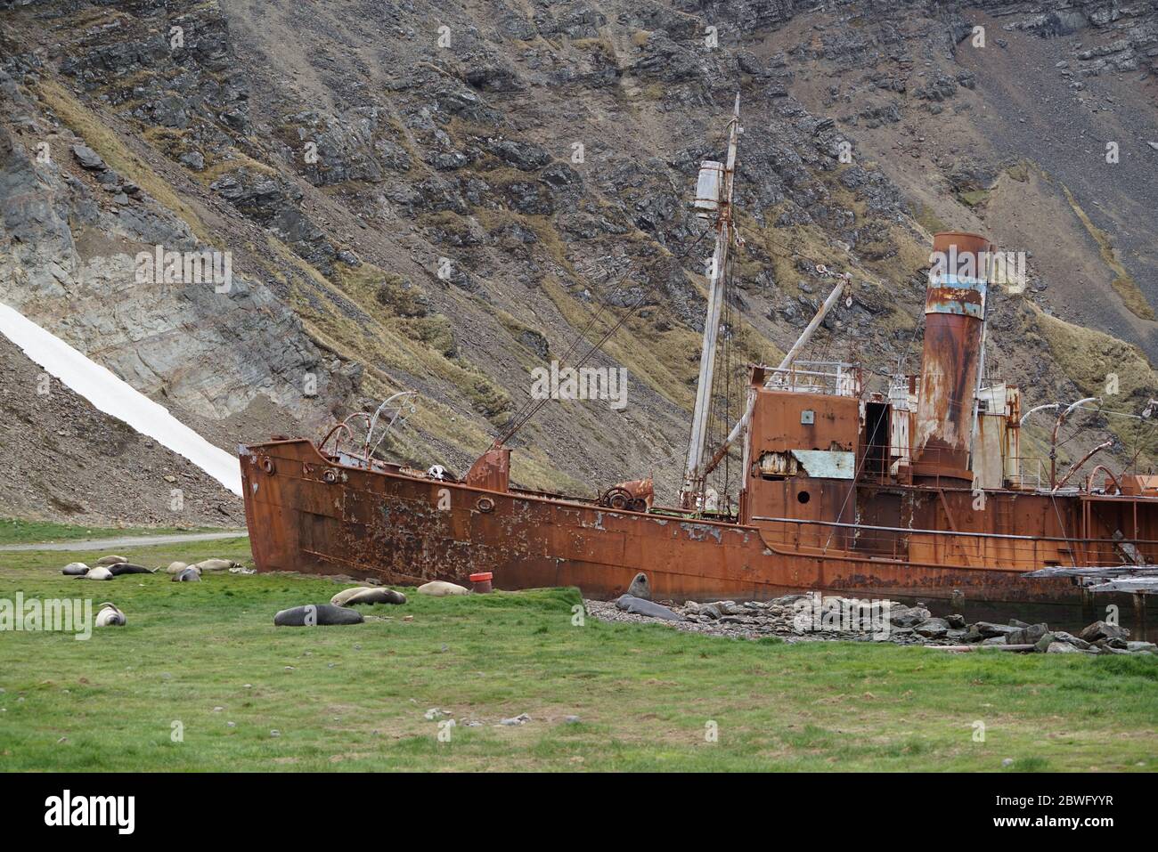 Rusty shipwreck of a whaling ship called 'Petrel' on South Georgia. Stock Photo