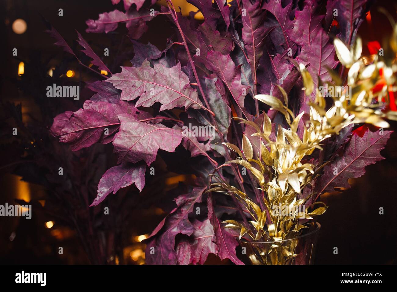 Purple maple leaves with golden branches Stock Photo