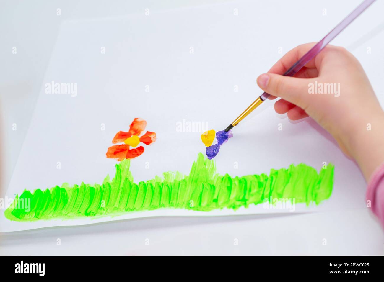 Hand of child drawing flowers by watercolors on white paper. Children's and Earth day concept. Stock Photo
