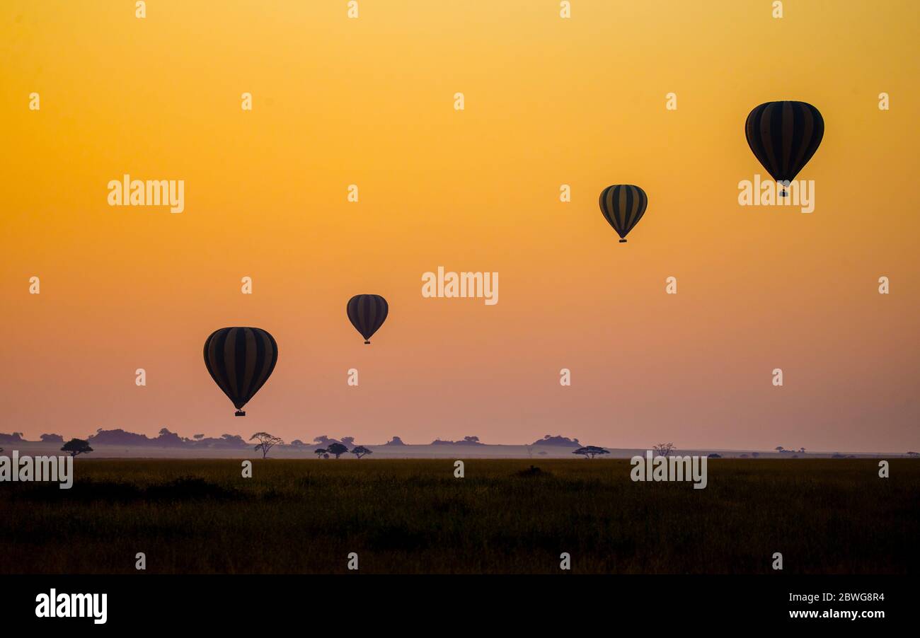 Balloons flying over Serengeti National Park, Tanzania, Africa Stock Photo
