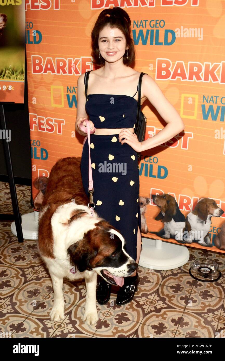 April 9, 2016: Madeleine Coghlan attends Nat Geo WILD 2nd Annual Barkfest at Palihouse Hotel on April 9, 2016 in West Hollywood, California. (Credit Image: © Billy Bennight/ZUMA Wire) Stock Photo