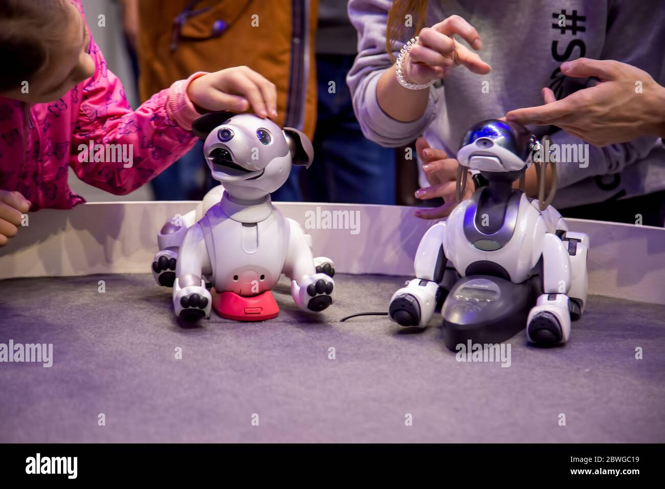 Moscow, Russia - October 04, 2019: child girl pets and plays with two Aibo Robotic pets designed and manufactured by Sony Pet robot Technology Stock Photo