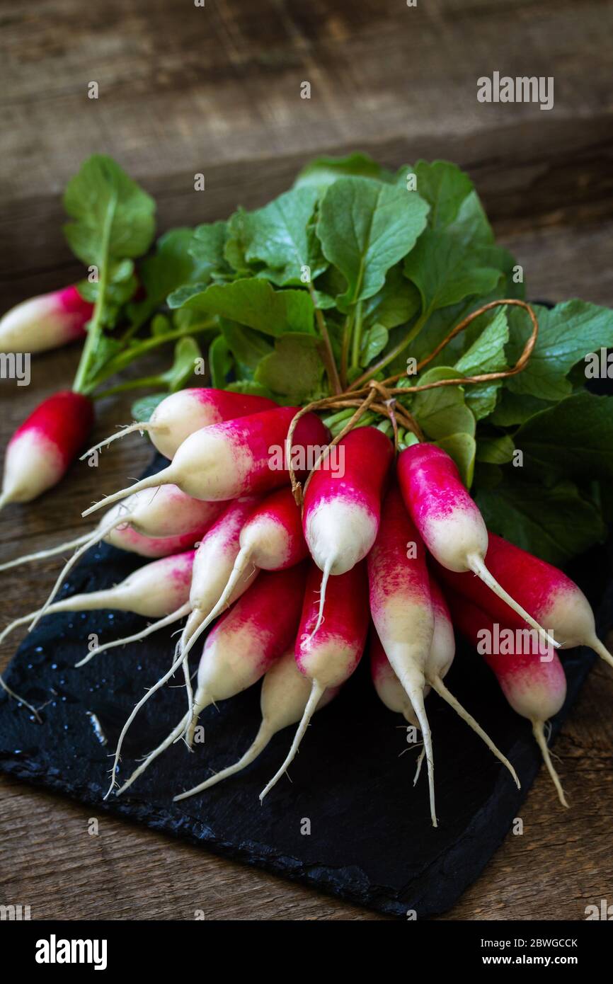 Summer harvested red radish. Organic vegetables. Raw fresh juicy garden radish on a rustic wooden table. Copy space. Stock Photo