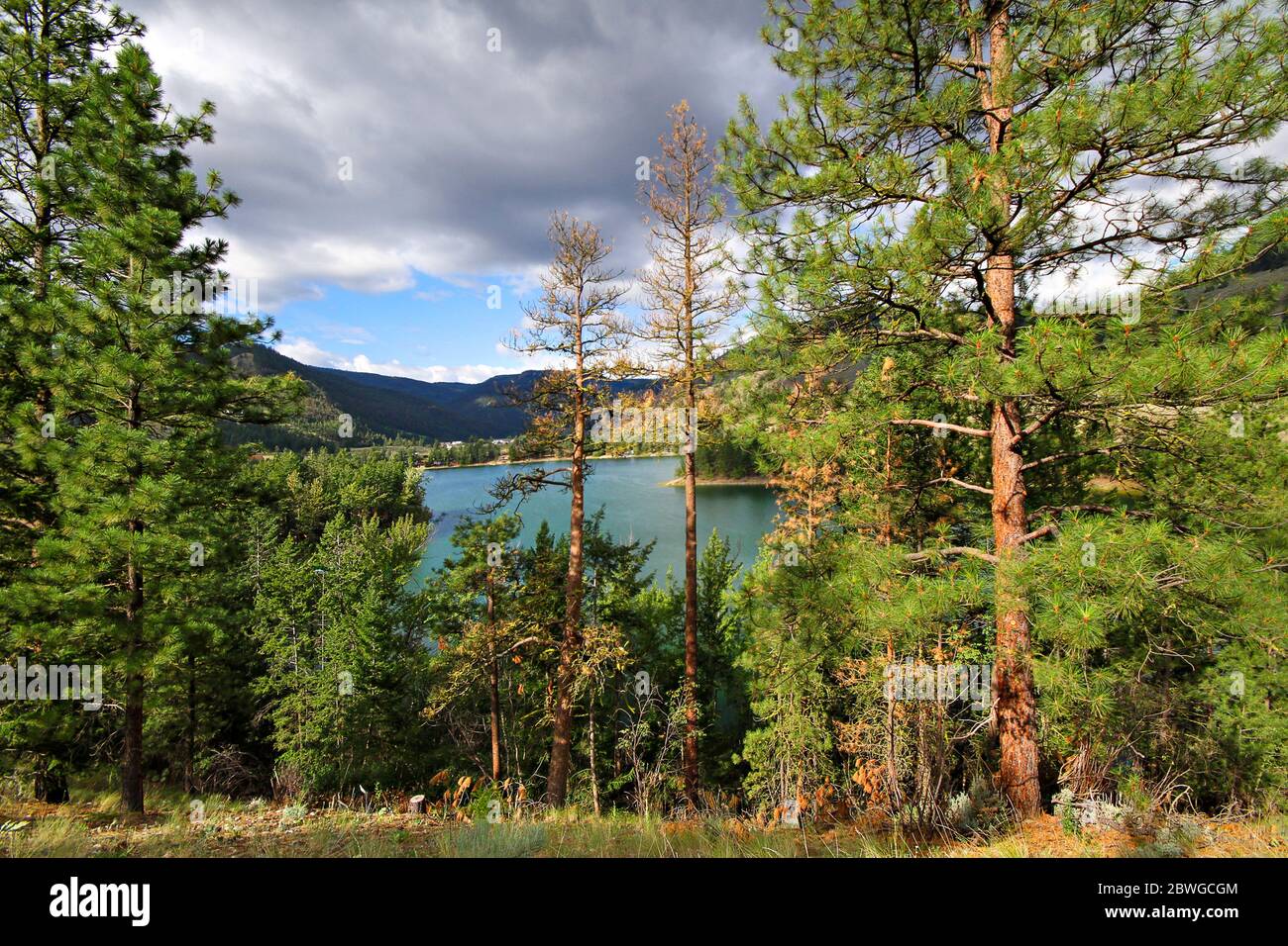 Scenic view over lake and forests in British Columbia, Canada Stock Photo