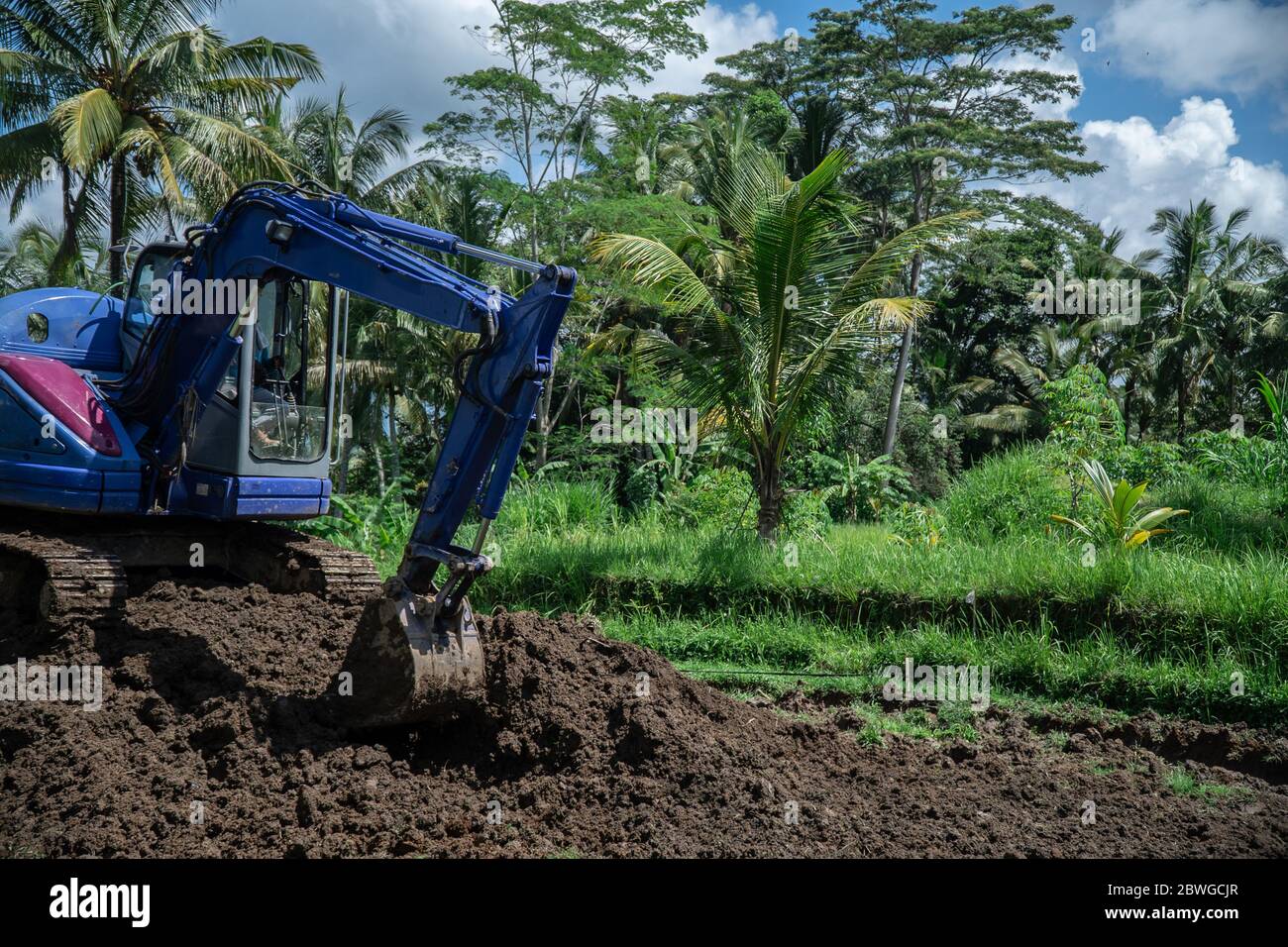 heavy machinery excavator digging jungle forrest and bushes Stock Photo