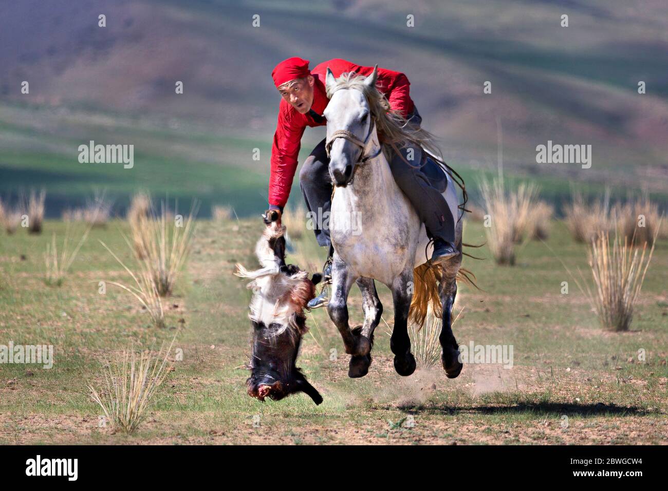 Nomad horse rider playing traditional nomadic horse game of Buzkashi known also as Kokpar, in Issyk Kul, Kyrgyzstan Stock Photo