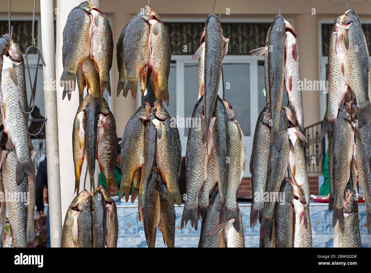 Fish hanging and drying near Samarkand, Uzbekistan Stock Photo