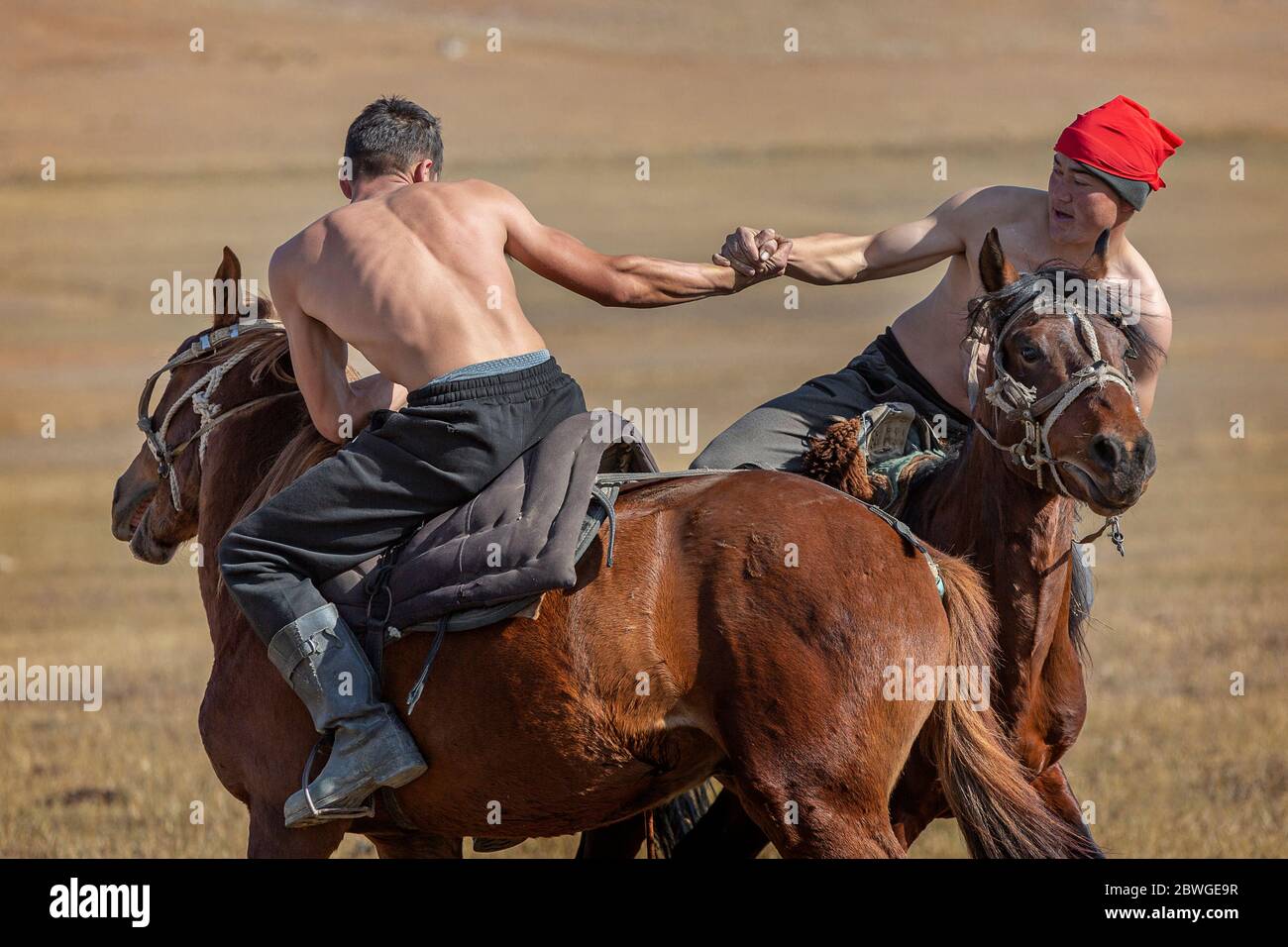 Kyrgyz men doing traditional nomadic horseback wrestling known as ErEnish in Issyk Kul, Kyrgyzstan. Stock Photo