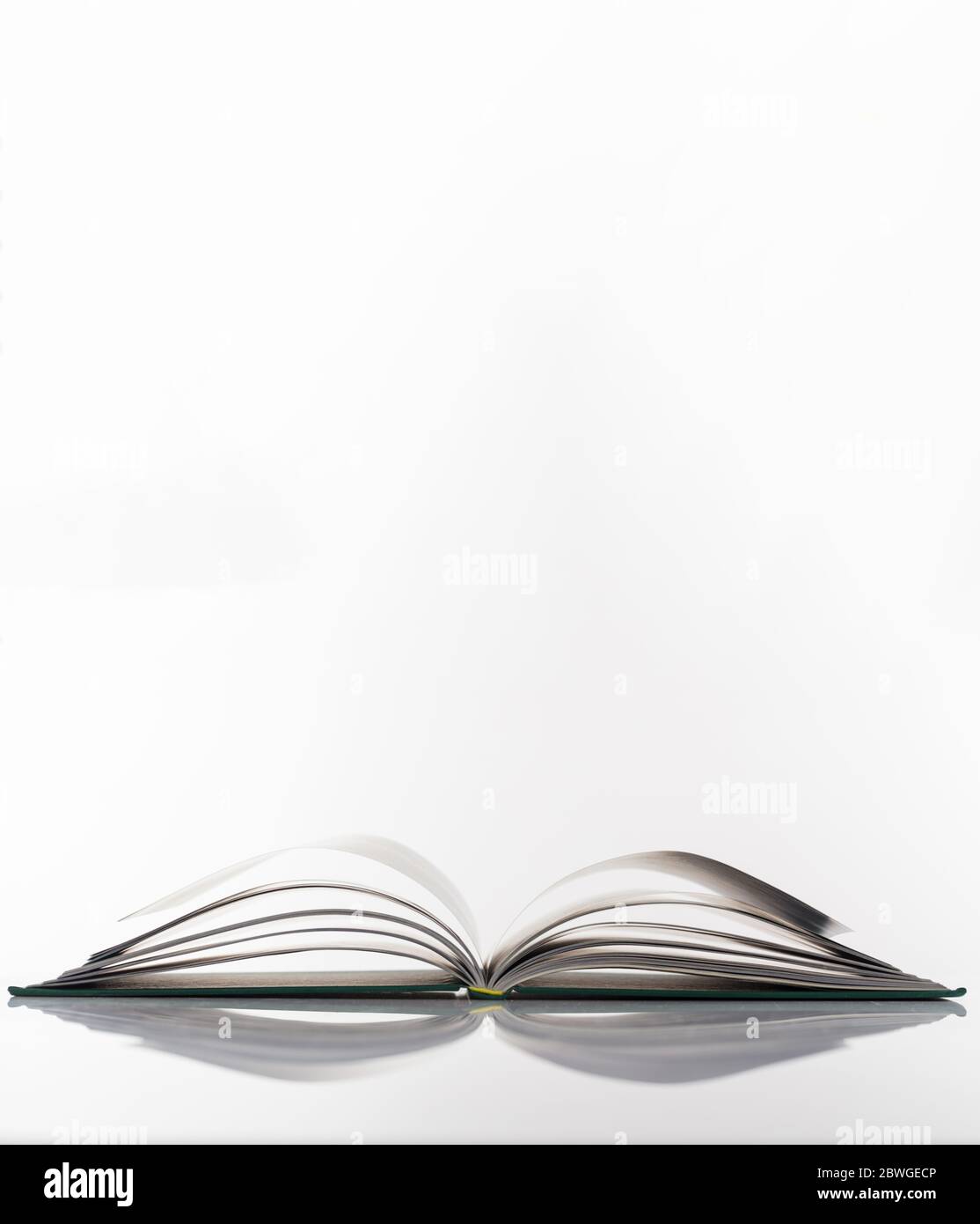 Education, knowledge, wisdom concept. Book open isolated on white background. Vertical photo, copy space. Stock Photo
