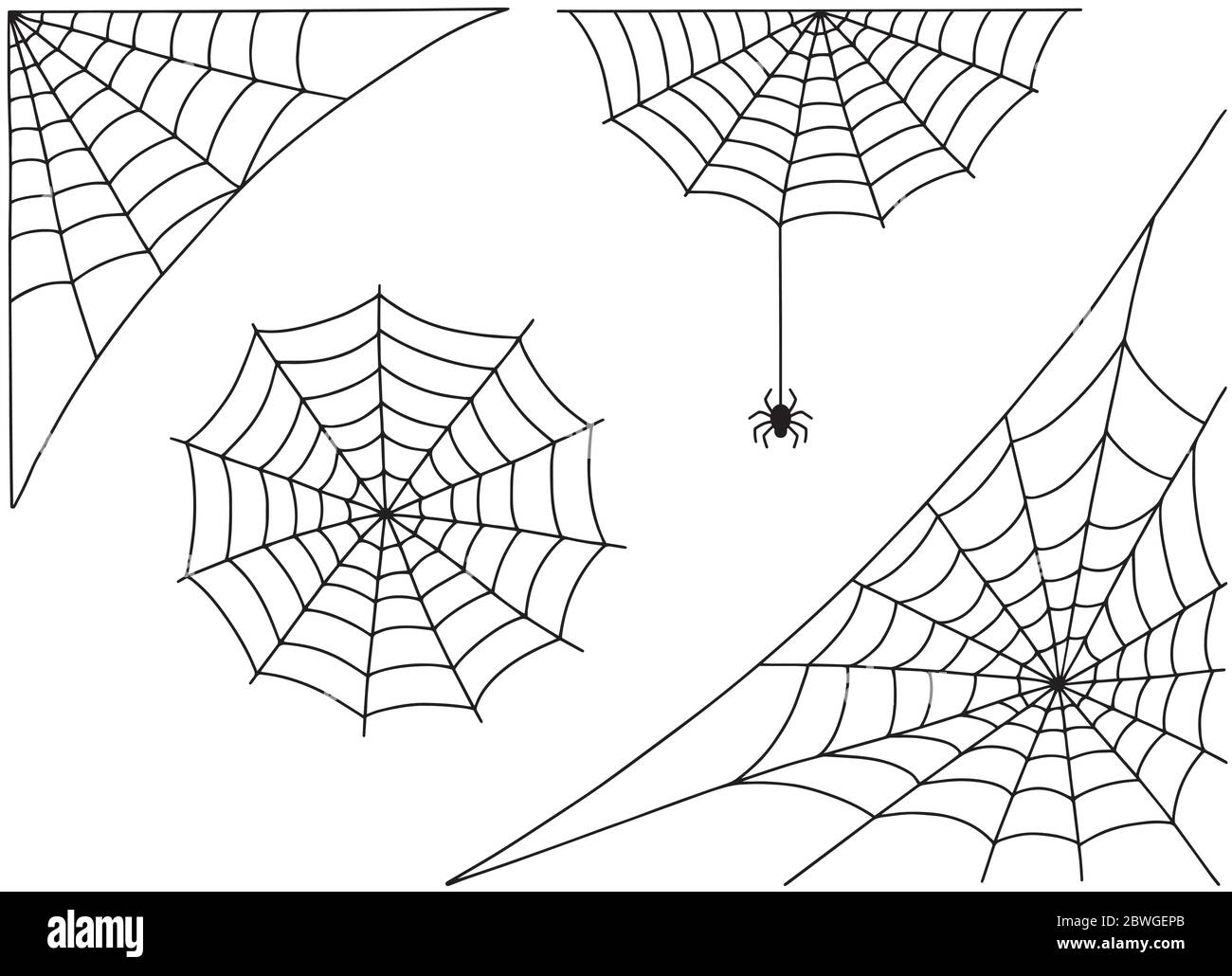 Halloween spider web and spider isolated on white background. Hector venom cobweb set. Stock Vector