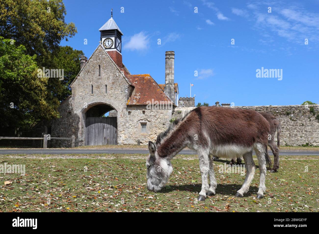 Donkeys graze in front of the Clock tower and Gatehouse in Beaulieu Village in The New Forest Stock Photo