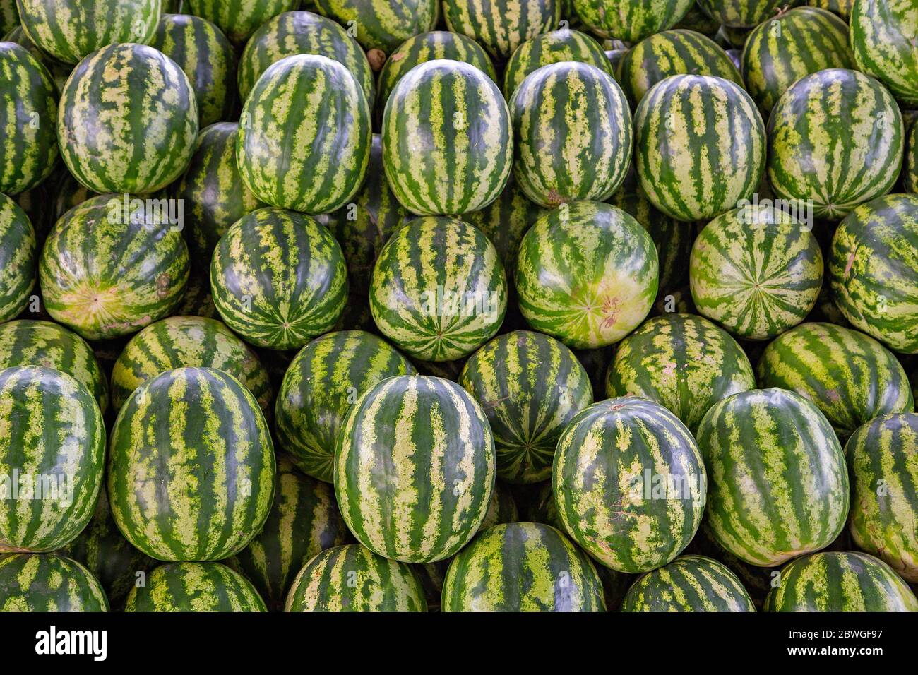 Uzbekistan melon hires stock photography and images Alamy