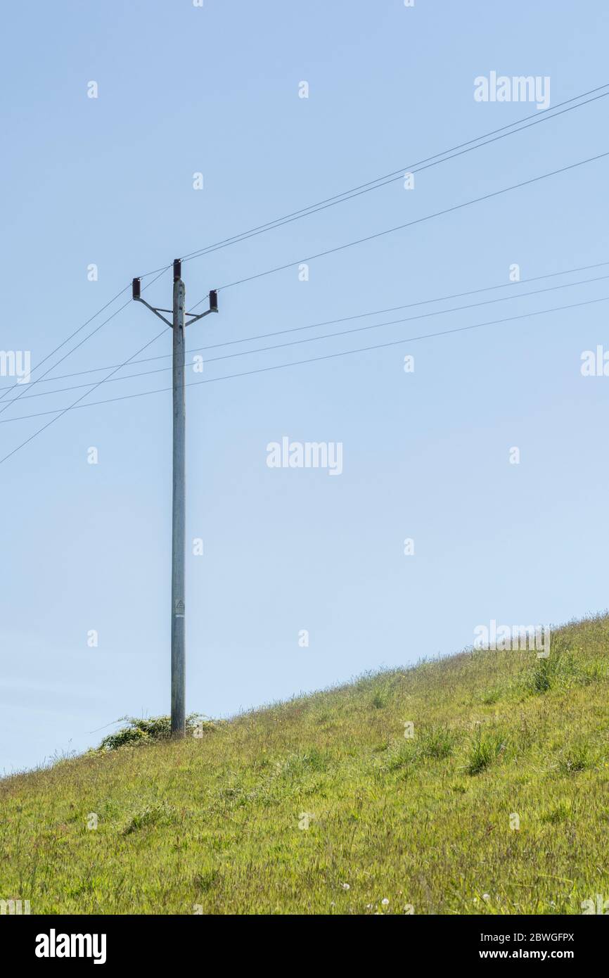 Domestic electricity distribution utility pole in a summertime hay field, with blue sky and fluffy clouds. Rural household electricity concept. Stock Photo