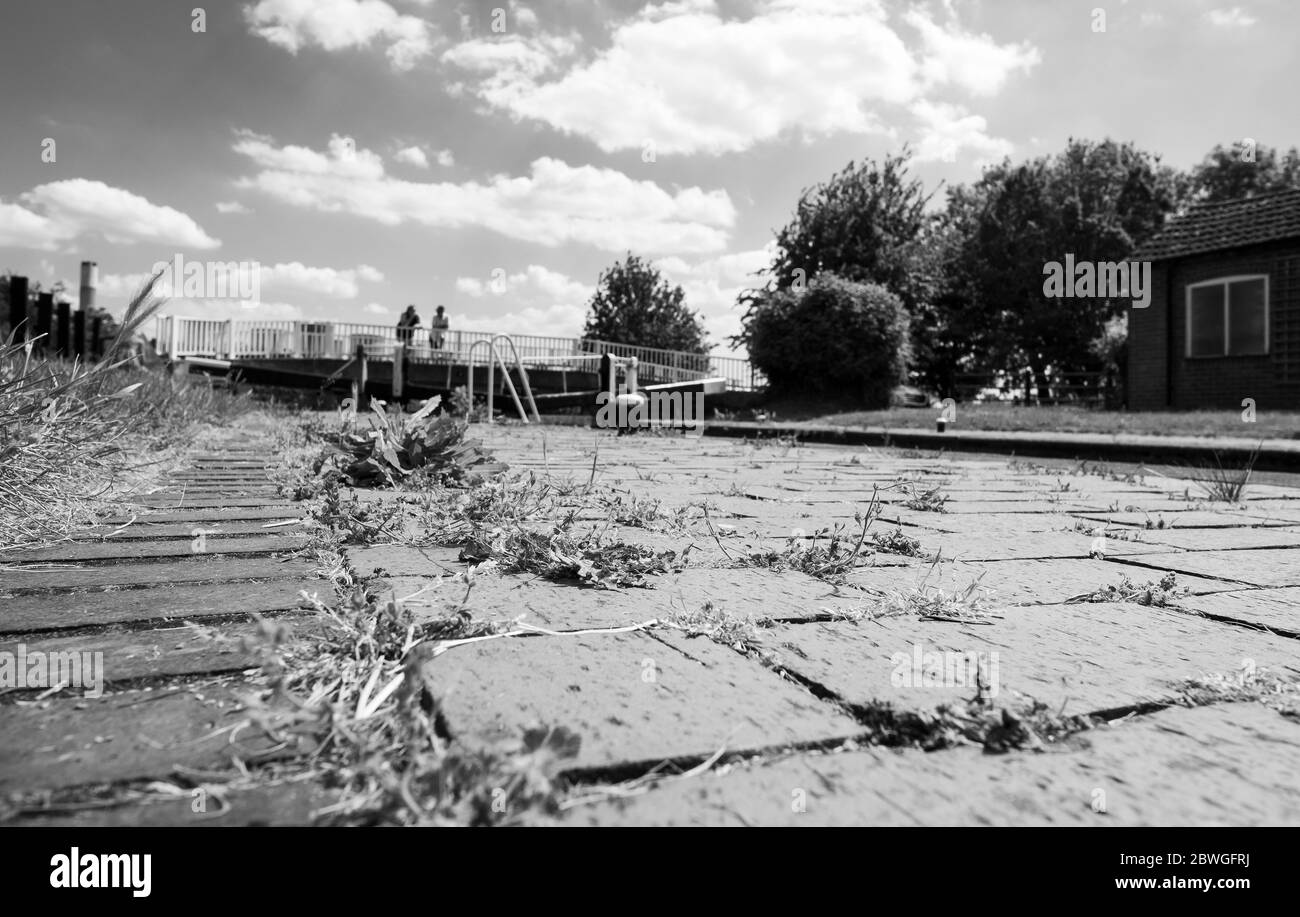 Weeds growing in block paving Stock Photo - Alamy