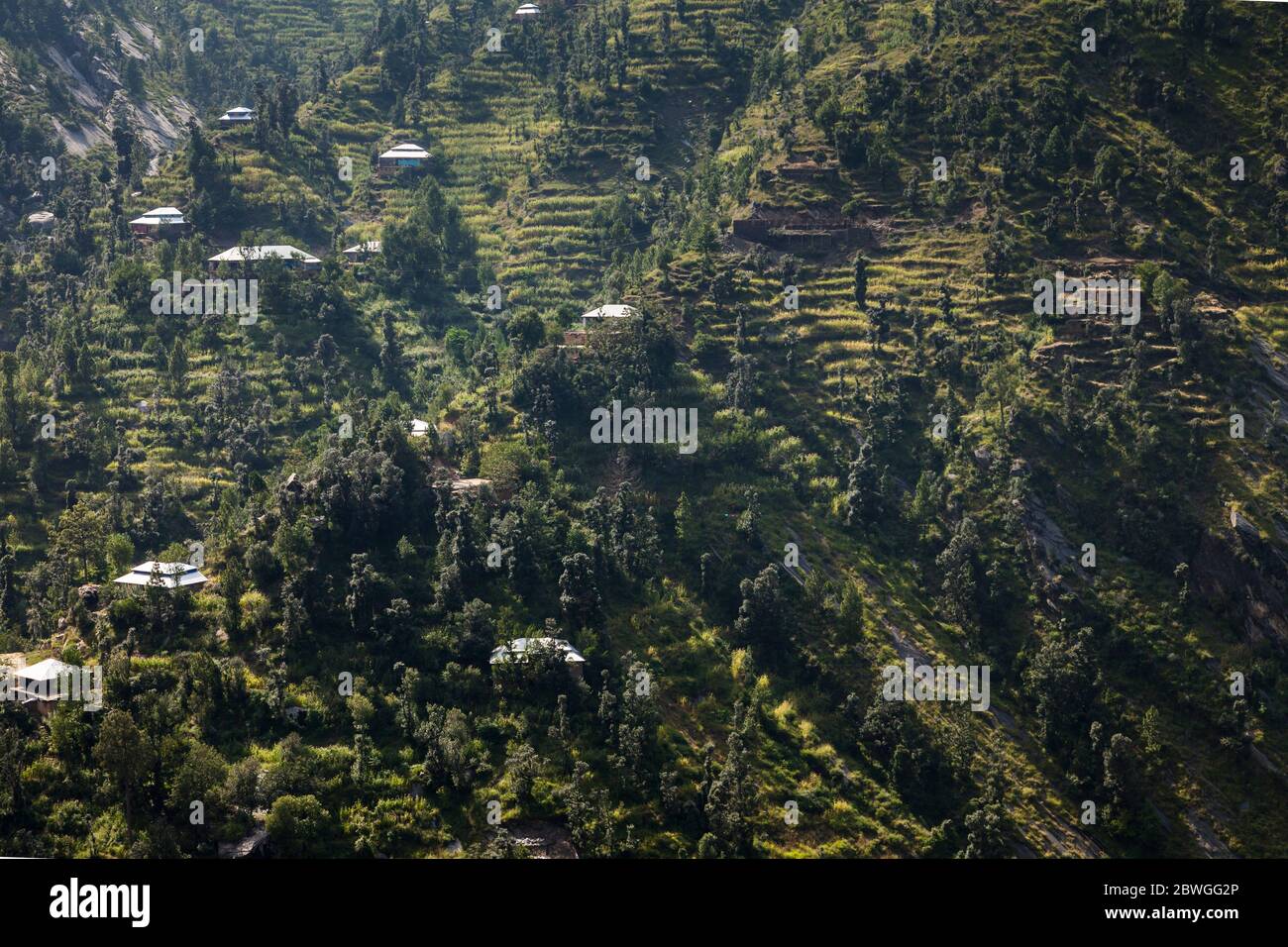 Awesome, Local houses and steep terraced field at cliff, Elum Mountain trekking, Swat, Khyber Pakhtunkhwa Province, Pakistan, South Asia, Asia Stock Photo