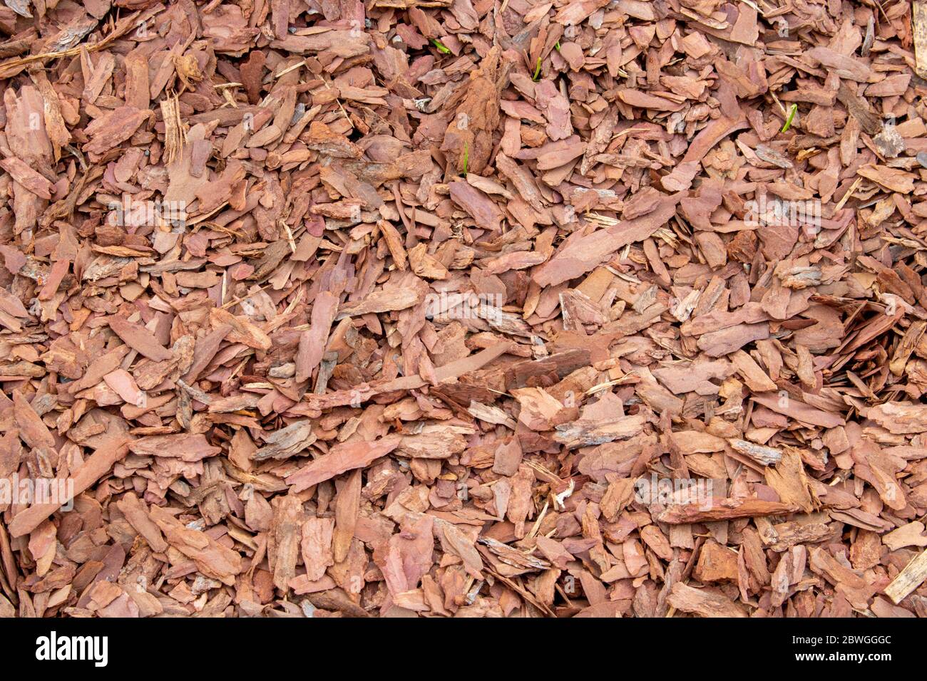 Sliver wood hi-res stock photography and images - Alamy