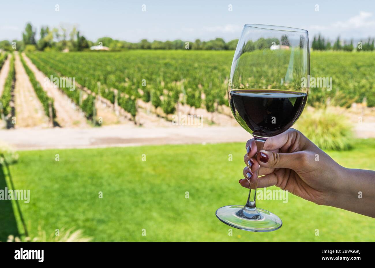 A young woman holding a glass of red wine against the background of ...