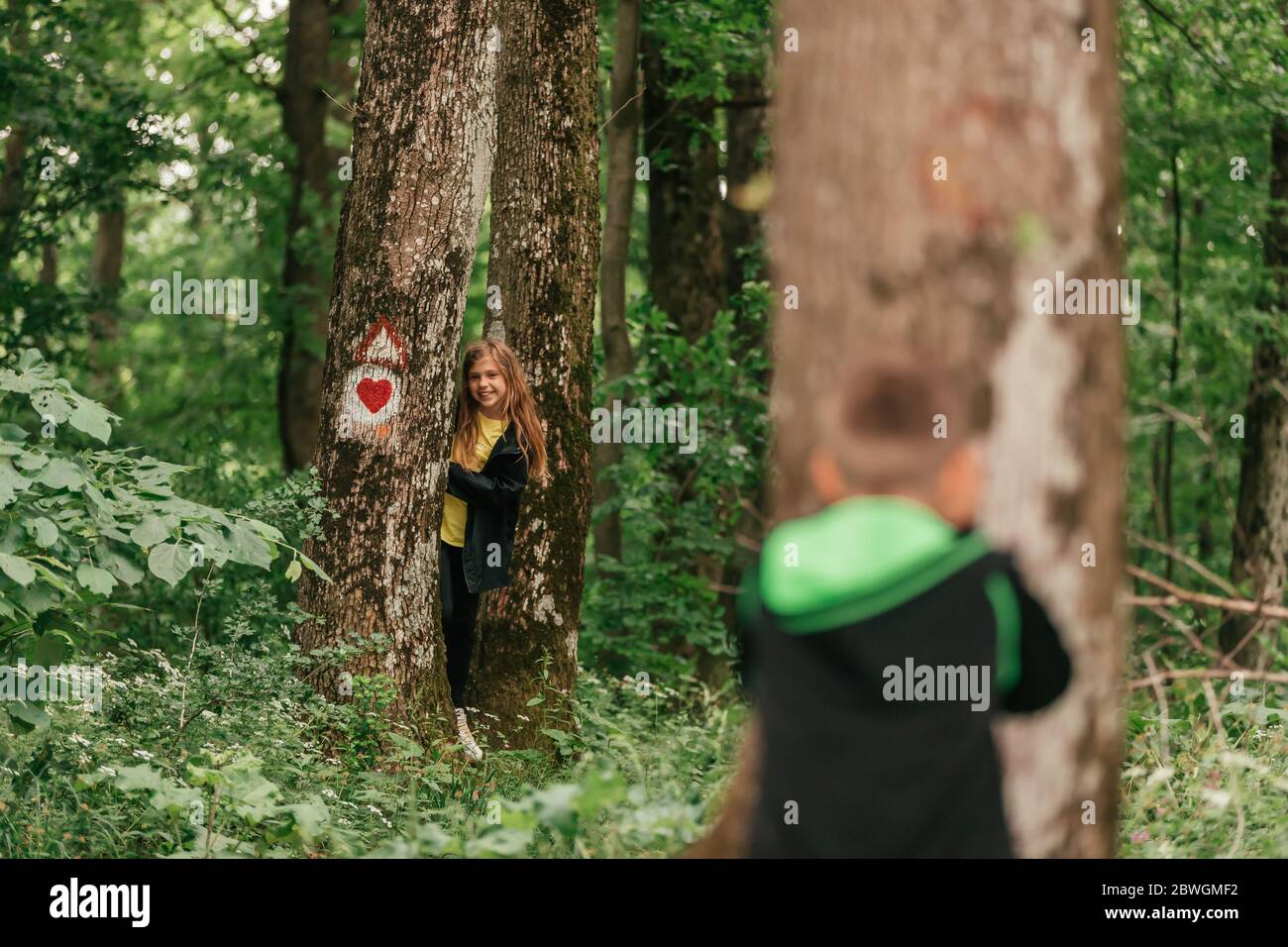 Little boy and cute girl playing hide and seek in forest,  spending good time in spring nature. Stock Photo