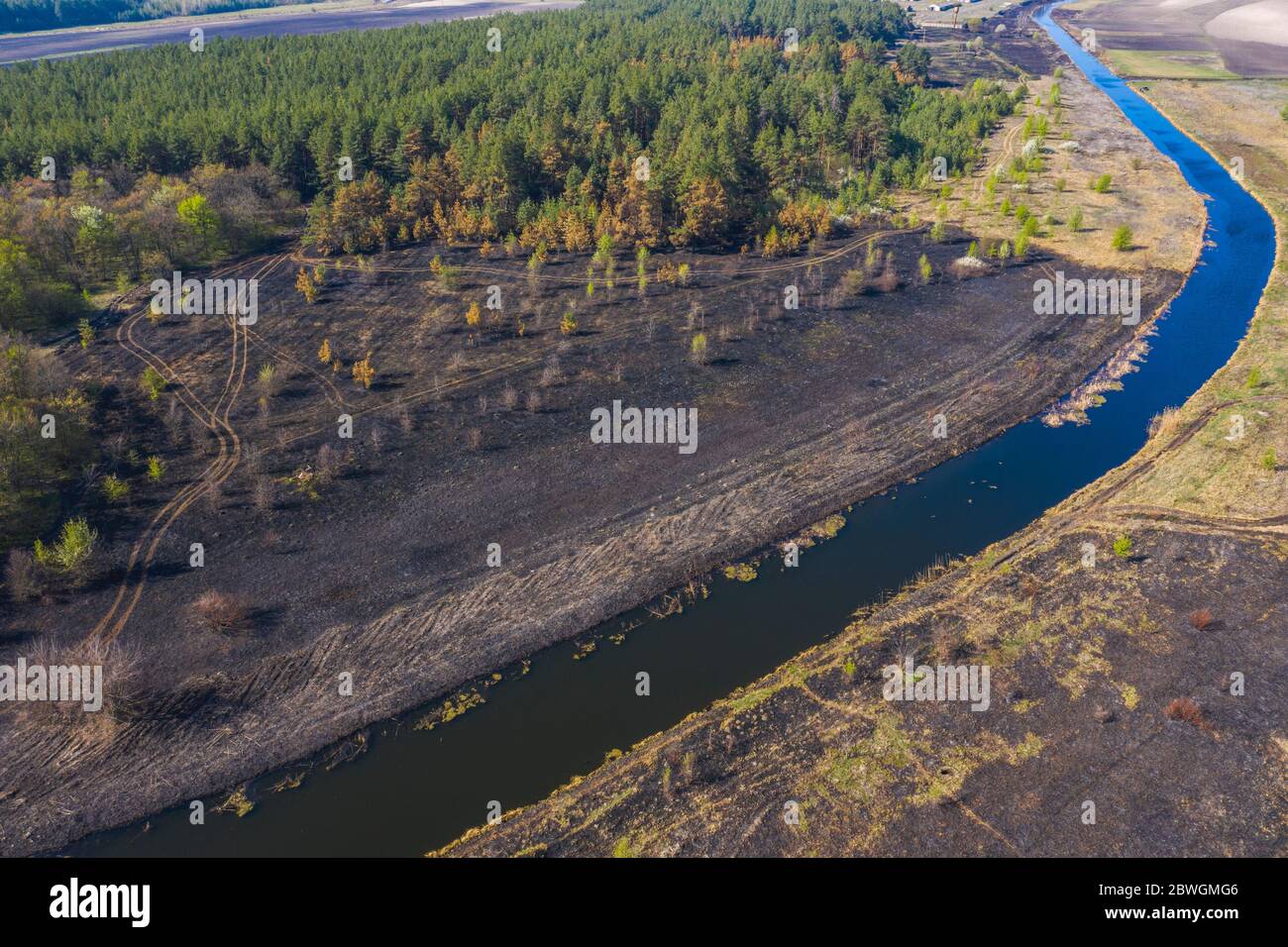 Aerial view scorched earth and tree trunks after a spring fire in ...