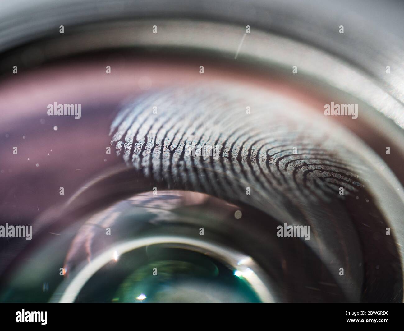 Lens and fingerprint Stock Photo Alamy