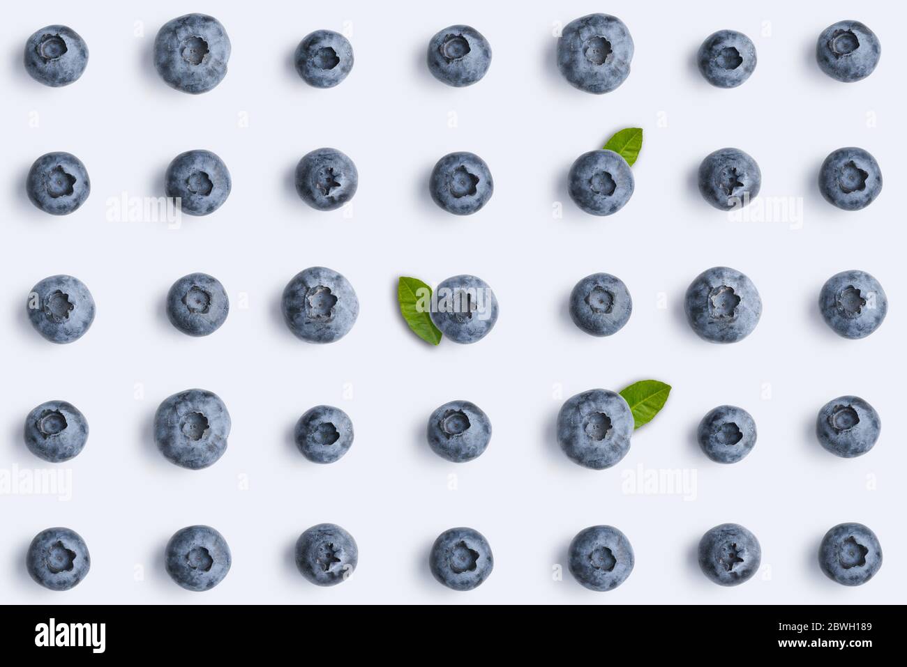 Blueberries on blue background,  top view, flat lay pattern. Stock Photo