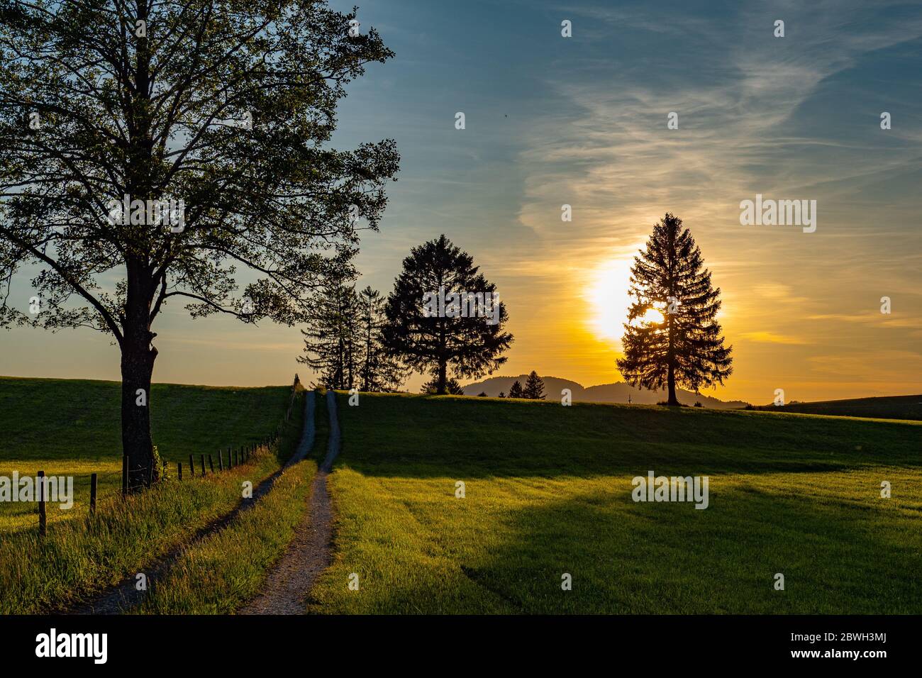Typical landscape in Bavaria and Allgau - the German Alps Stock Photo ...
