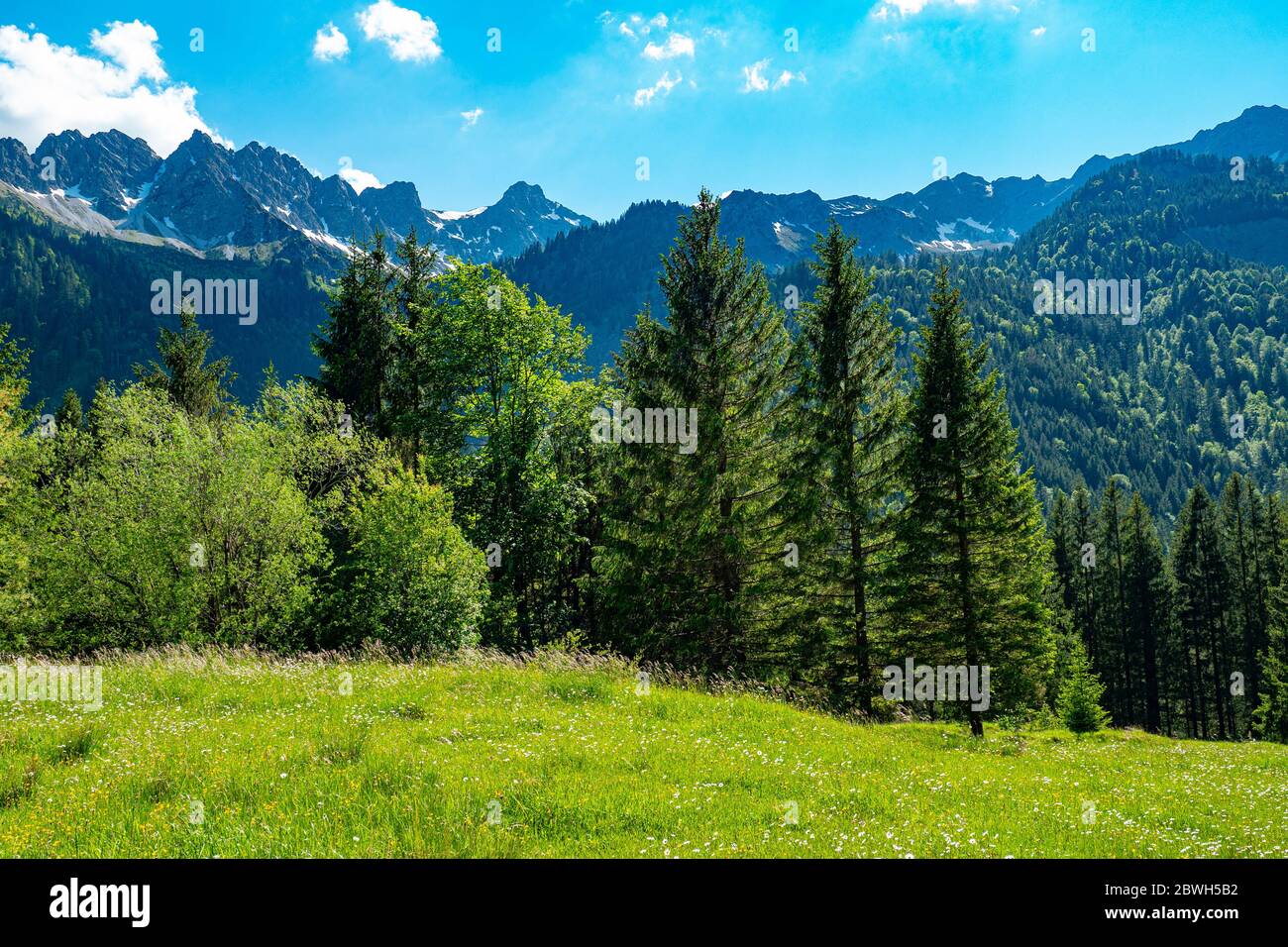 Typical landscape in Bavaria and Allgau - the German Alps Stock Photo ...