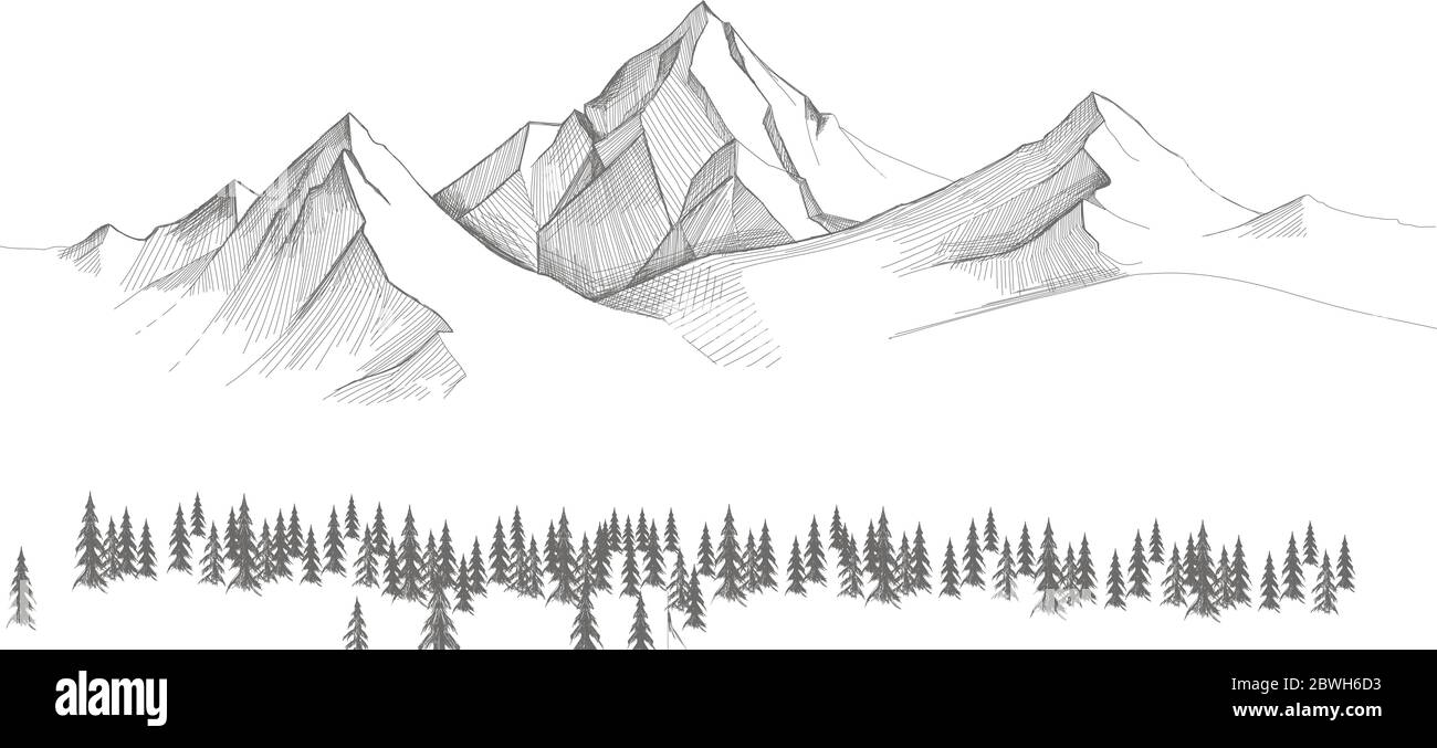 Mountain Landscape, forest pine trees sketch. Hand drawn vector ...