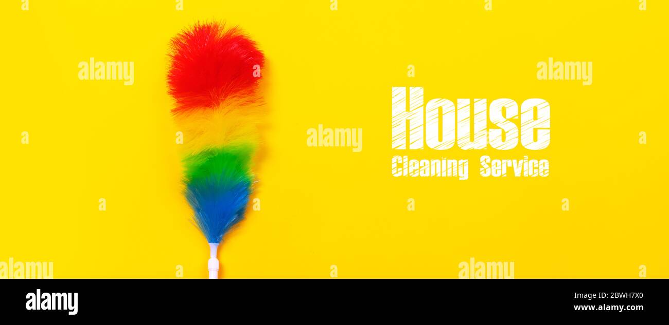 Colorful feather duster on yellow background, panoramic image with