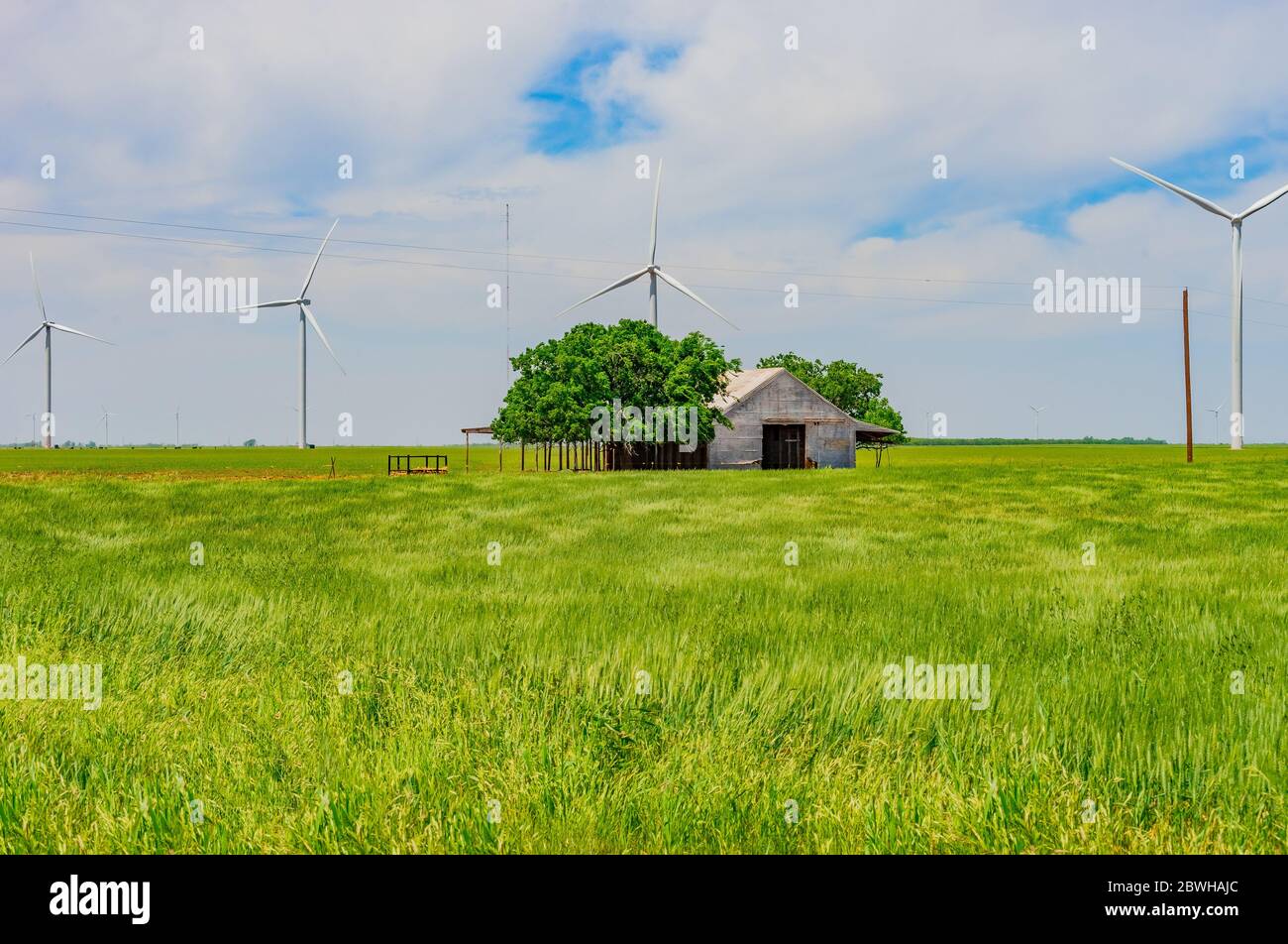 Wind turbines and an old barn stand in the middle of a Texas wheat field, with wide open spaces surrounding it all.  Old and new technology coexist to Stock Photo