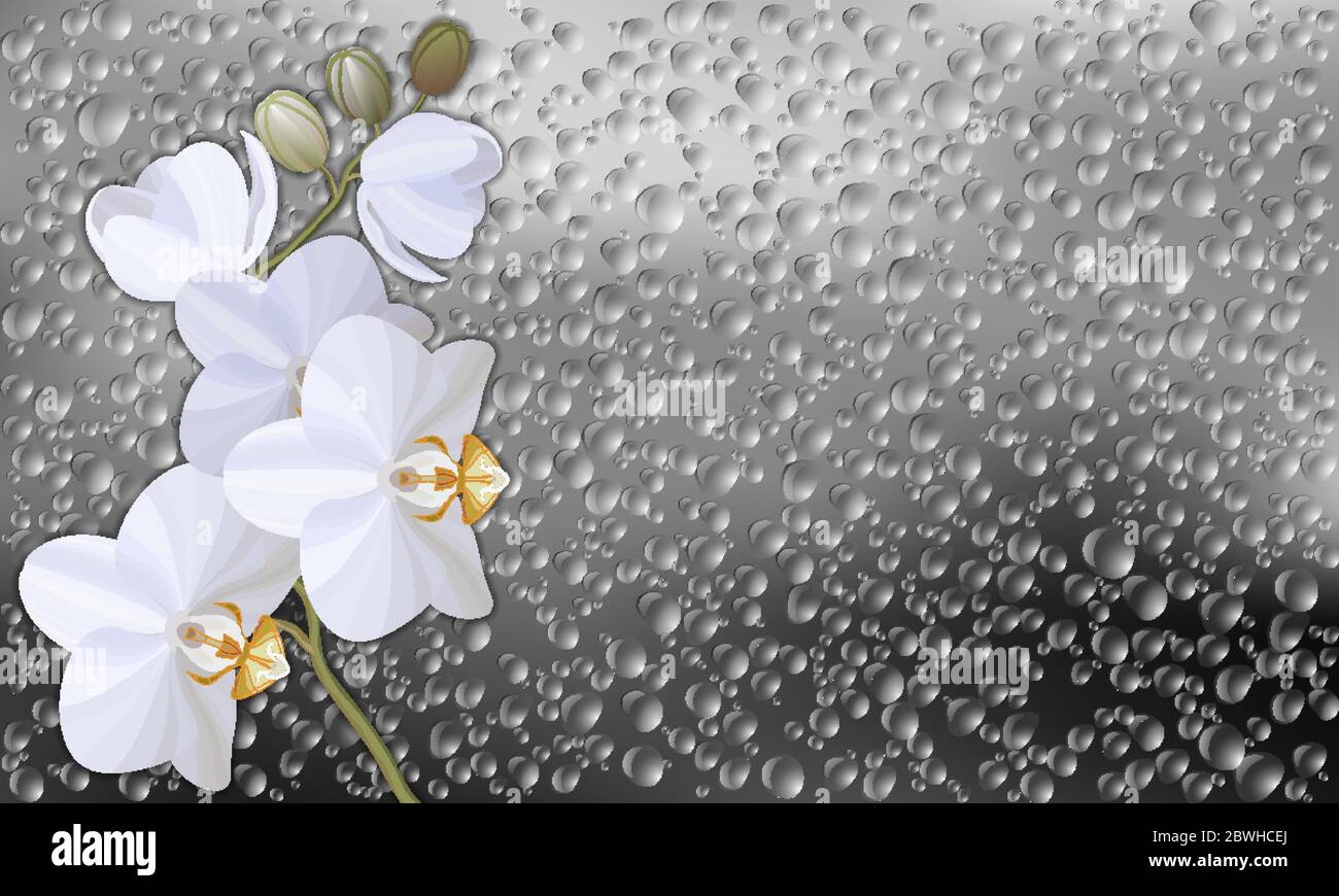 Vector realistic illustration of raindrops on window glass texture Stock Vector