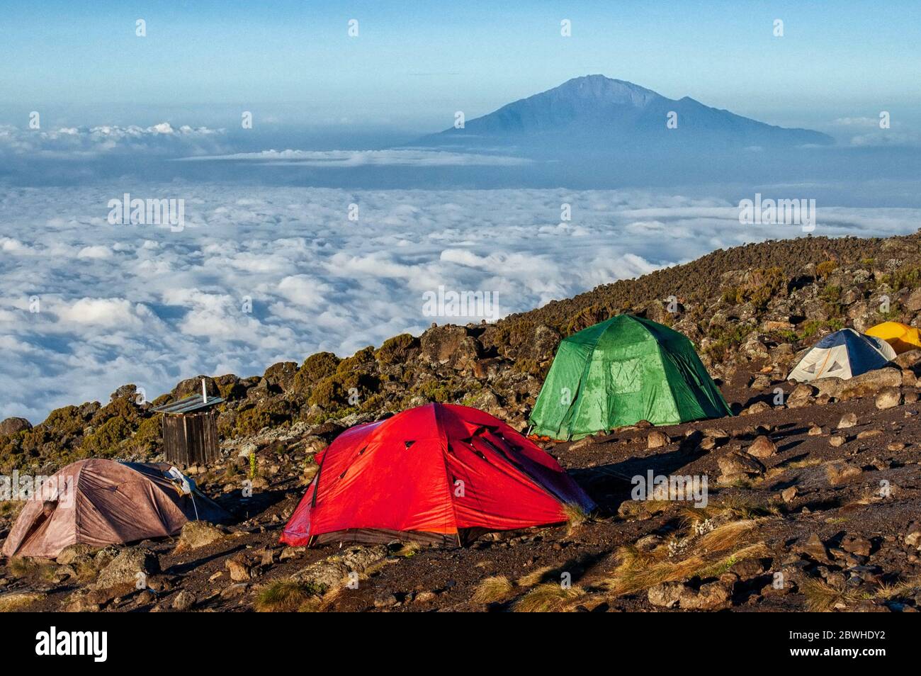 Tents on Mount Kilimanjaro Stock Photo Alamy