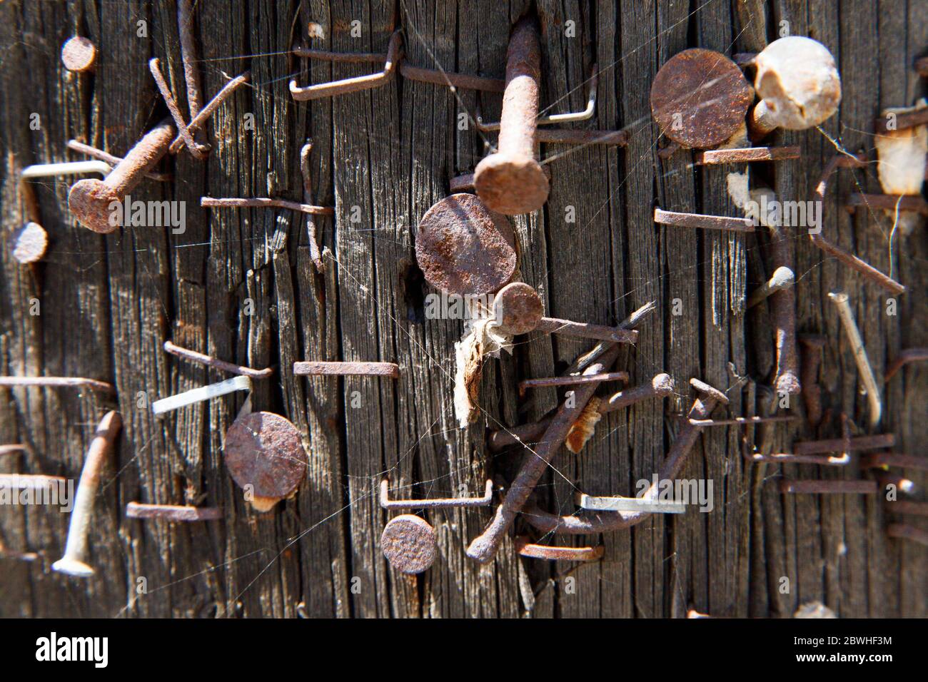 Rusty old staples hires stock photography and images Alamy