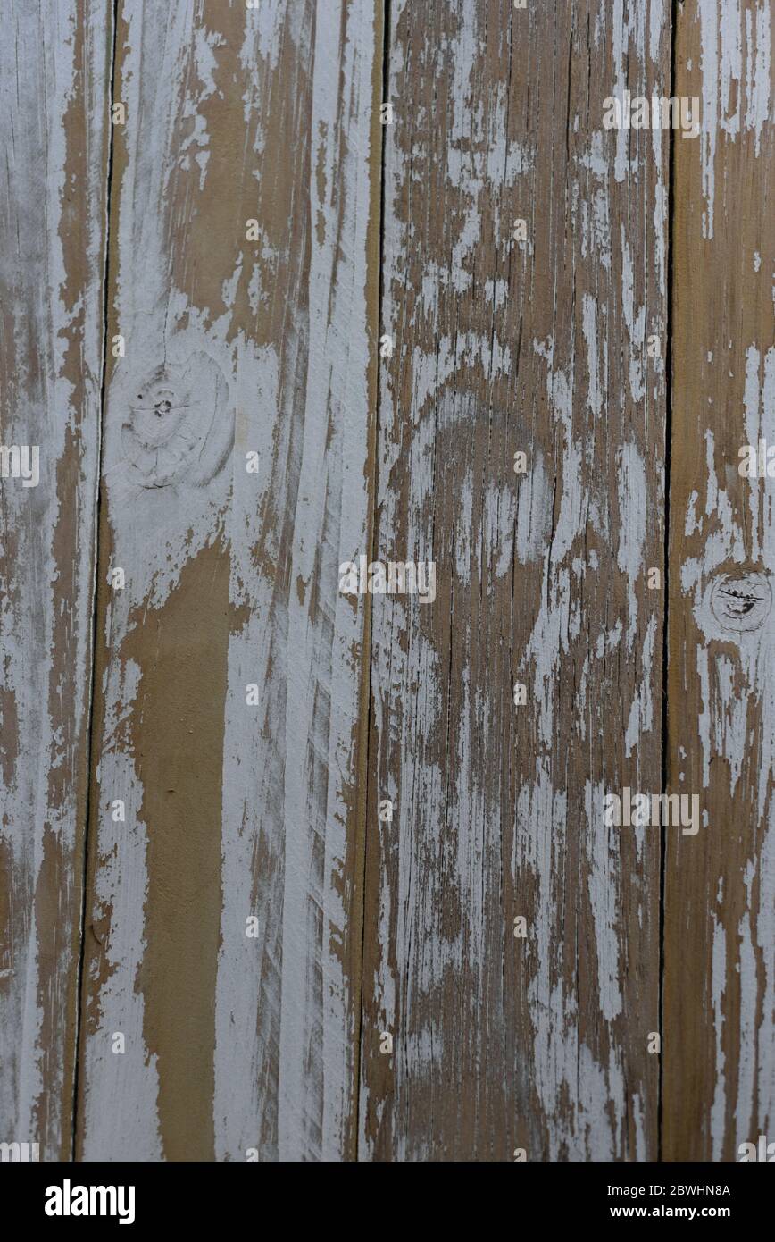 Distressed timber boards with damaged white paint Stock Photo - Alamy