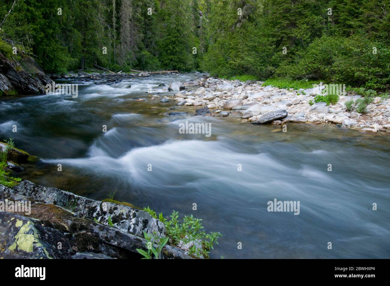 Meadow Creek near the Meadow Creek Guard Station in the Nez Perce/Clearwater National Forest ID Stock Photo