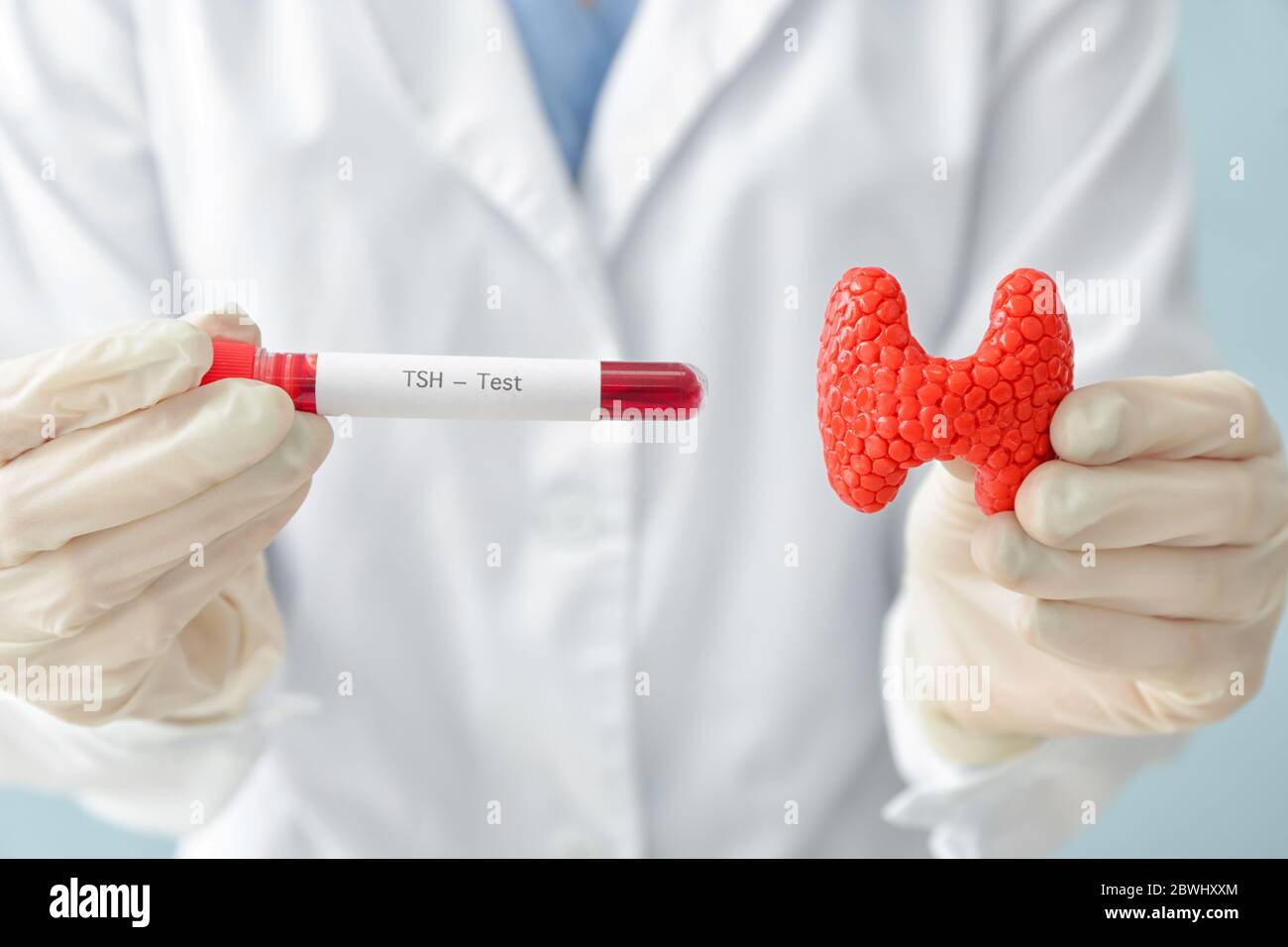 Doctor with model of thyroid gland and blood sample in test tube