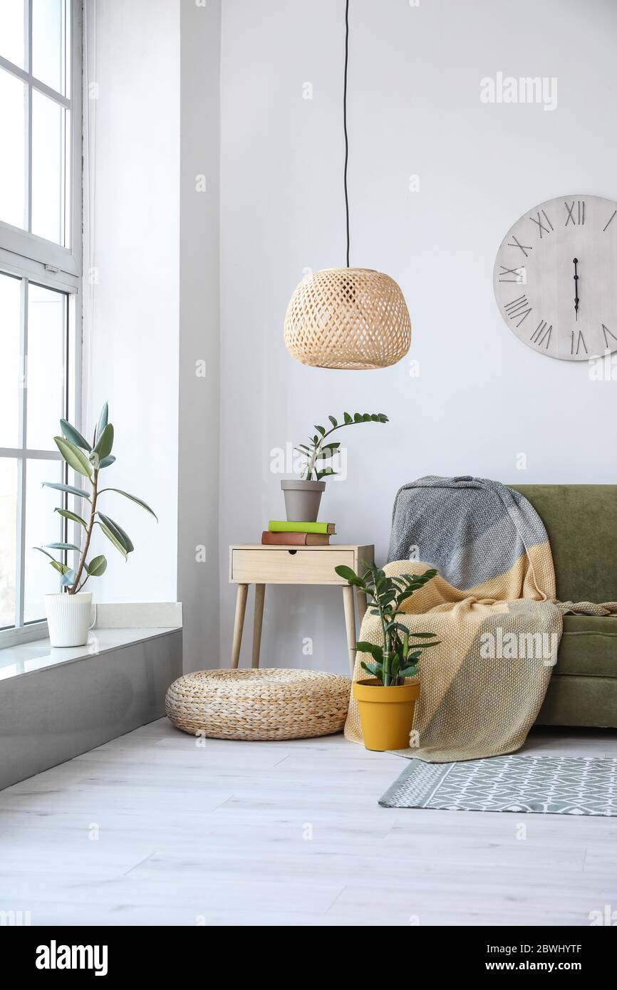 Interior of modern room with sofa and houseplants Stock Photo - Alamy