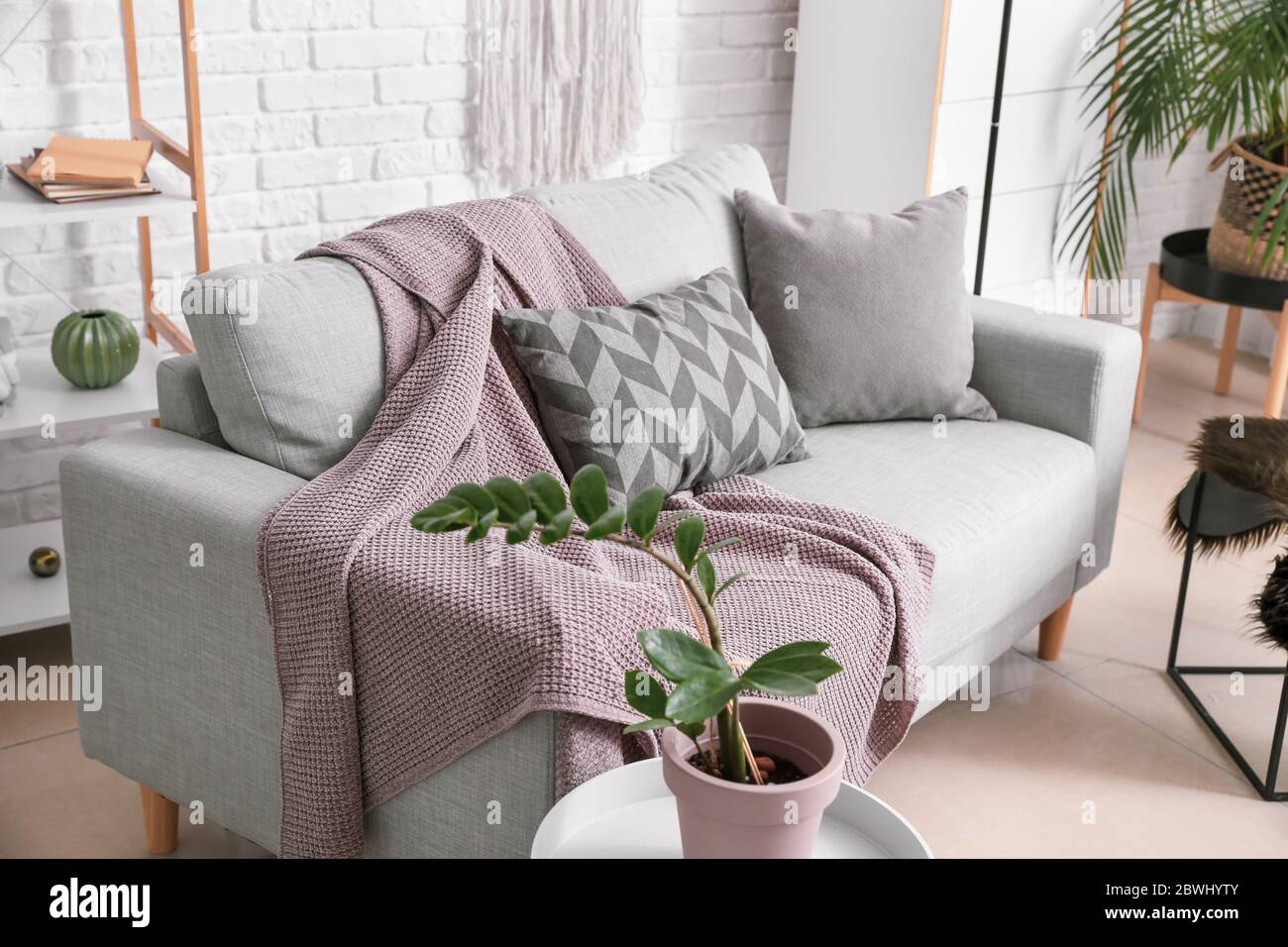 Stylish interior of living room with sofa Stock Photo - Alamy