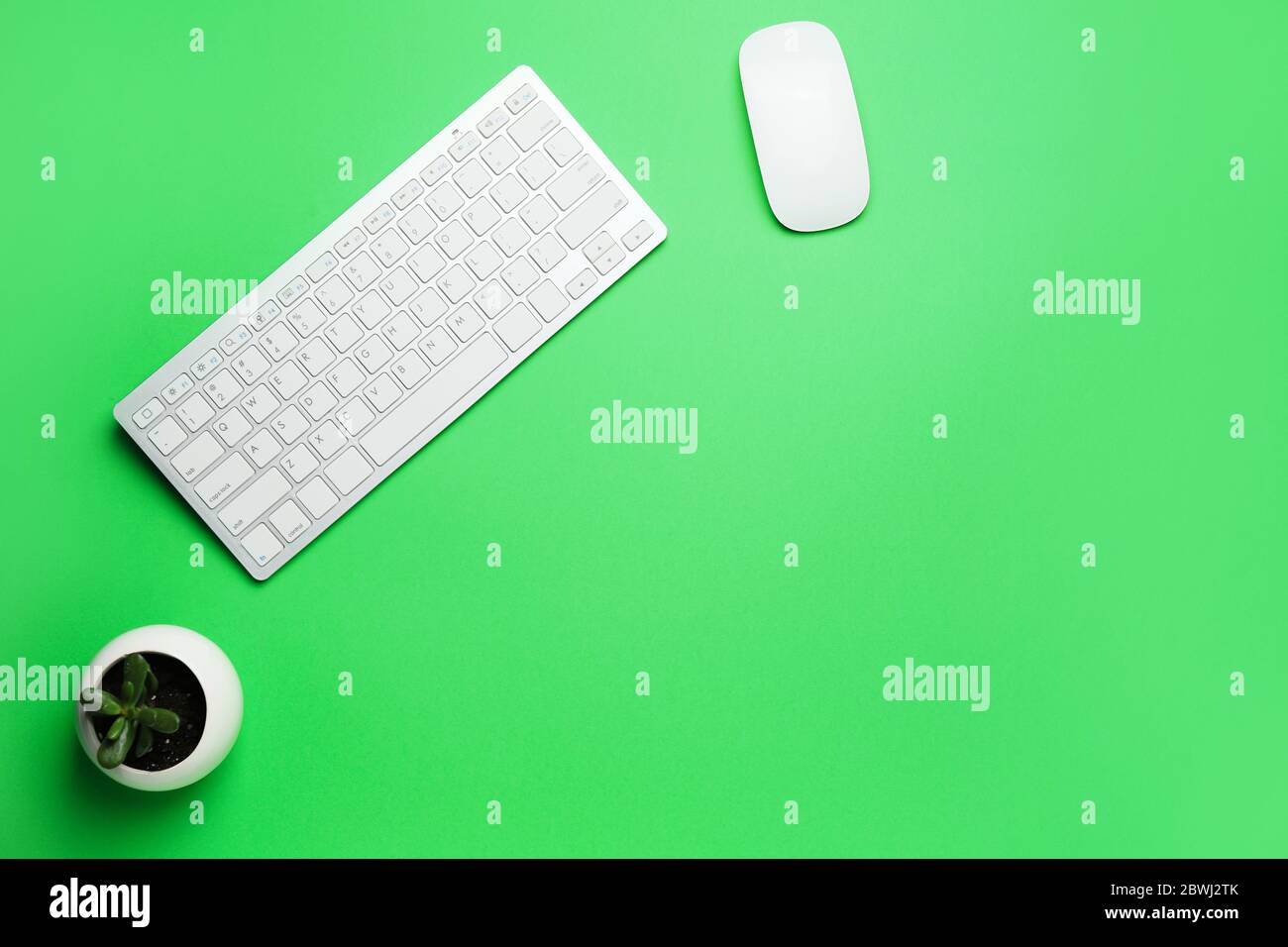 Computer keyboard and mouse on color background Stock Photo