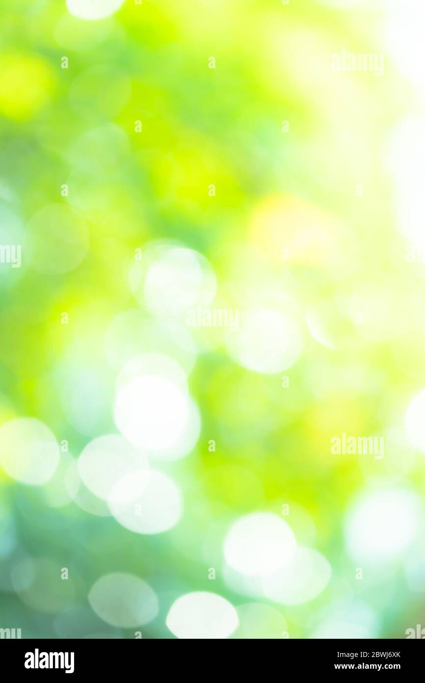Consequent Justitie Kardinaal Lens blur natural blurry background hi-res stock photography and images -  Page 2 - Alamy