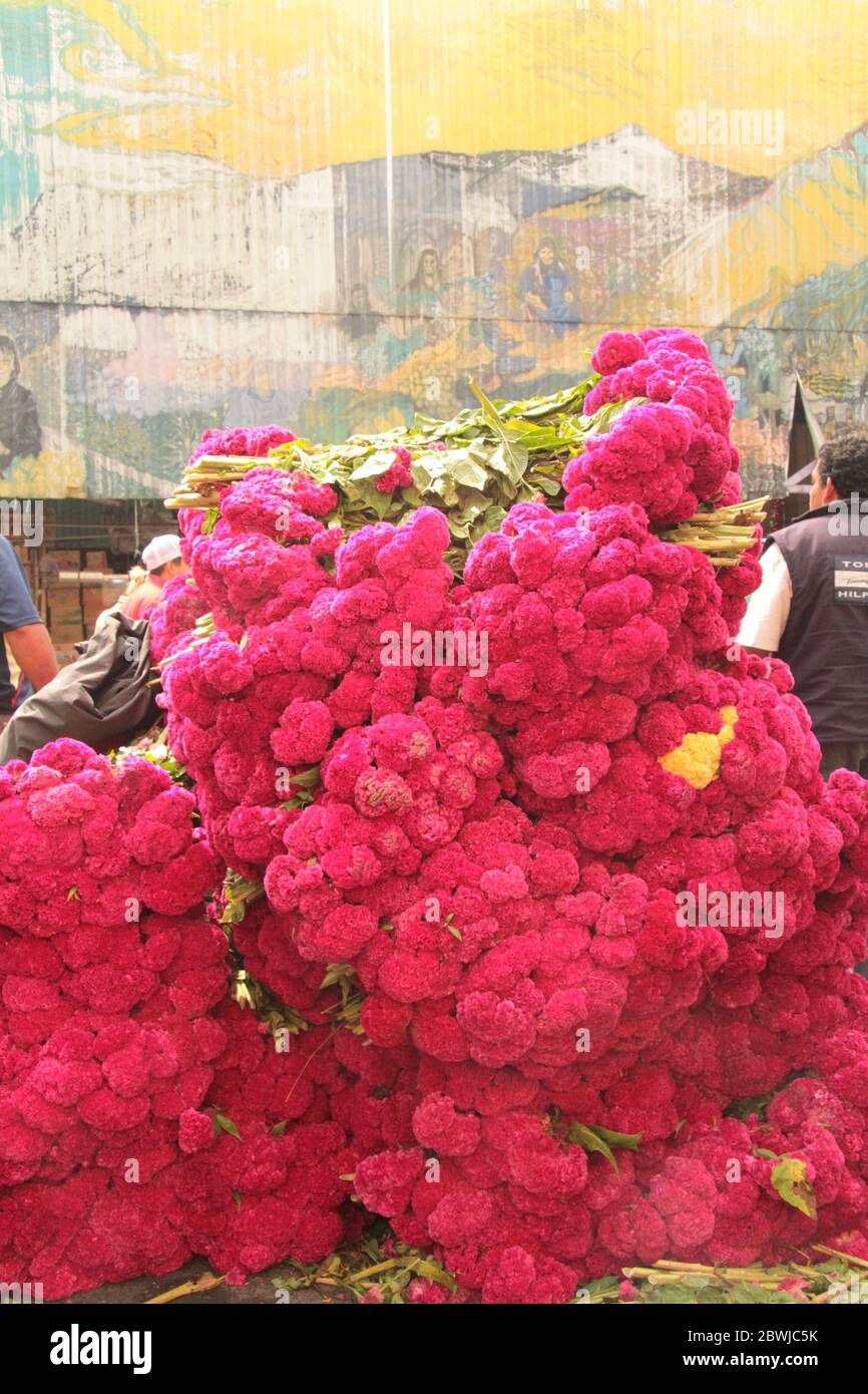 Jamaica flower market hires stock photography and images Alamy