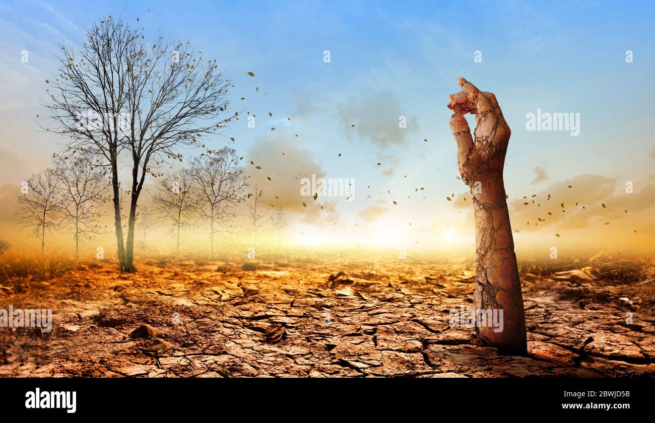 The dry, cracked hand emerged from the dry ground on dead tree background.Concept of global warming. Stock Photo