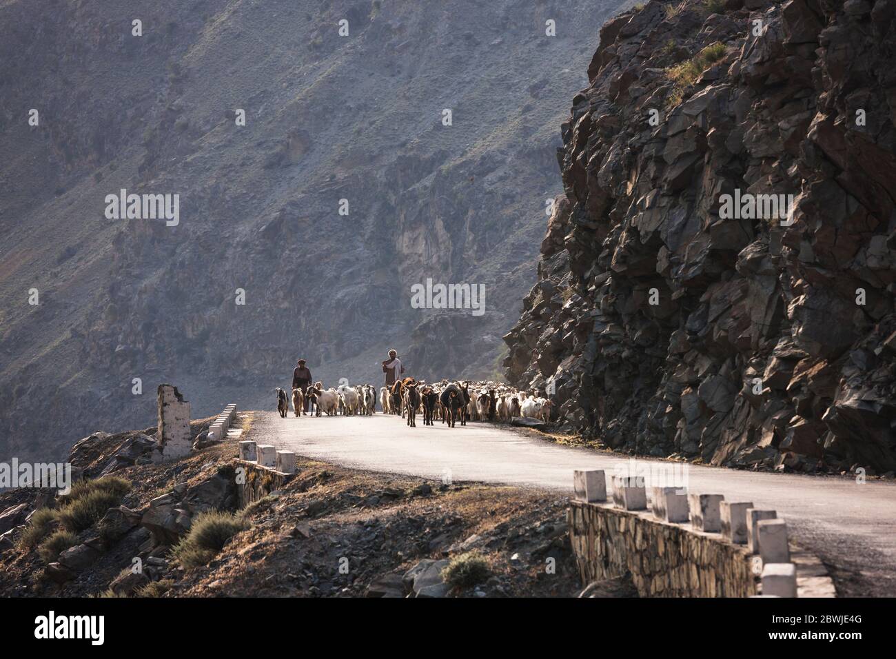 Shepherd and goats on Karakoram Highway, Indus valley, Karakoram mountain, Gilgit-Baltistan Province, Northern Areas, Pakistan, South Asia, Asia Stock Photo