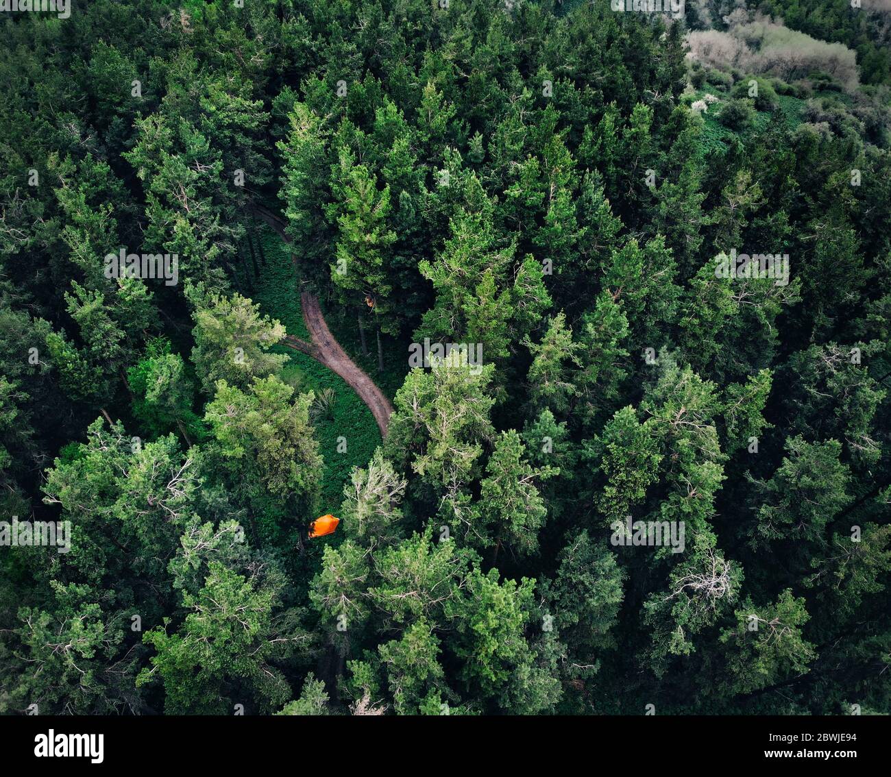 Aerial view of orange tent at forest in the mountains. Photo taken with Drone Stock Photo