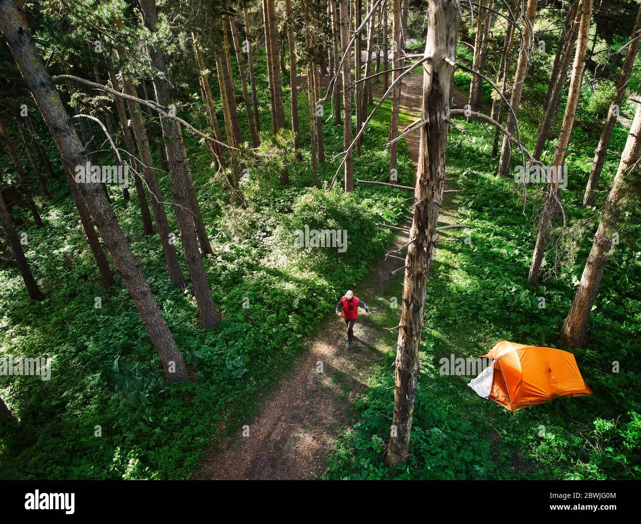 Aerial view of man walking near orange tent at forest in the mountains. Photo taken with Drone Stock Photo
