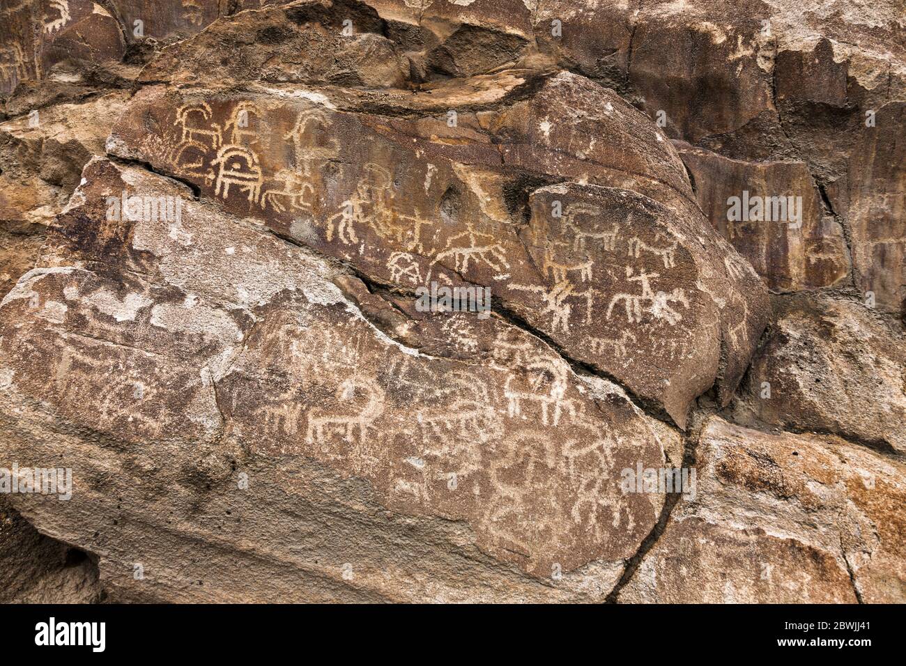 Sacred Rock of Hunza, Ganish Rock Carving, Ancient rock engravings, Ganish, Hunza Nagar, Gilgit-Baltistan Province, Pakistan, South Asia, Asia Stock Photo